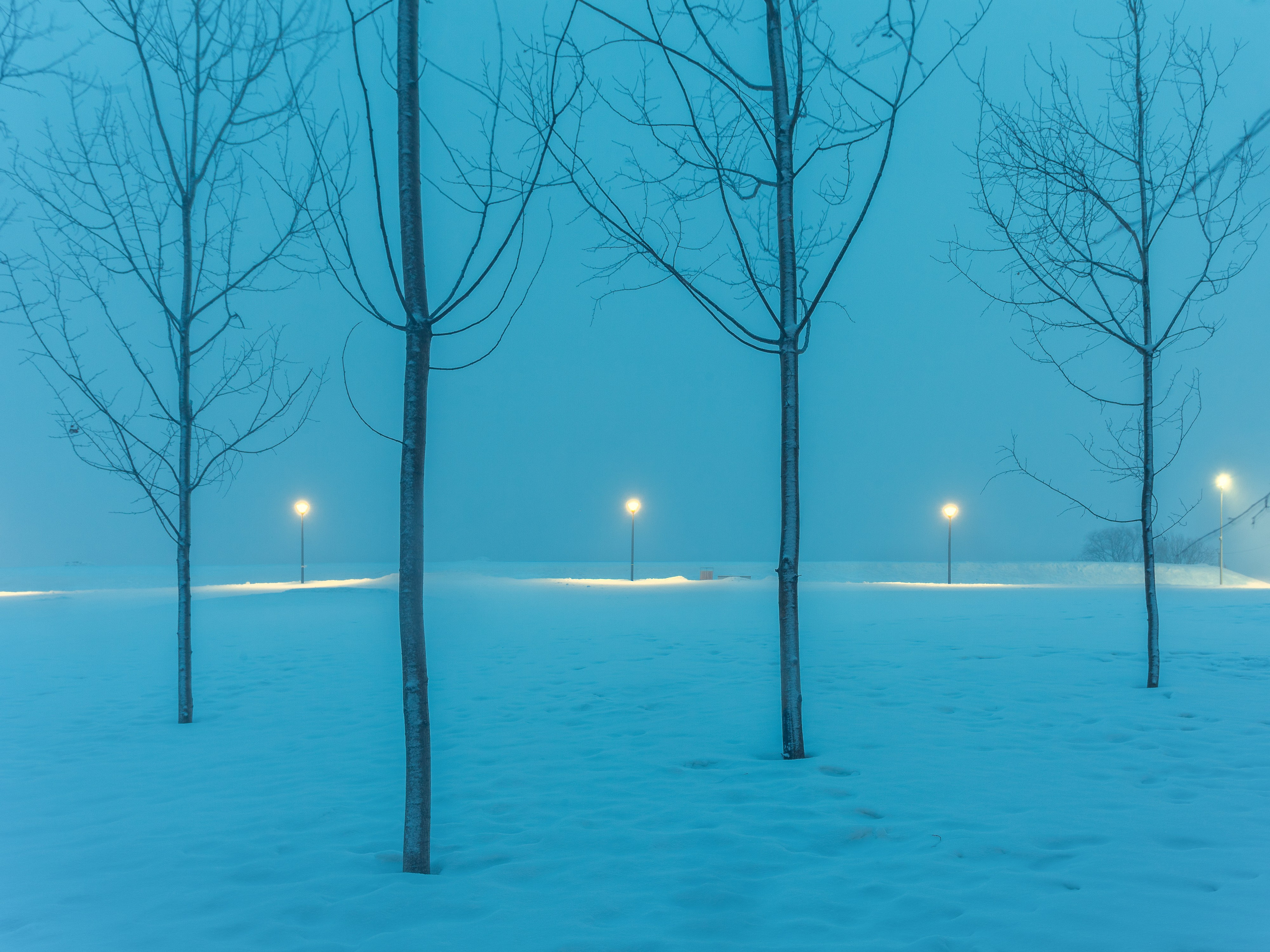 Выставка «Светопись» в Геленджике, 2024. Фотограф в Москве Татьяна Макотра