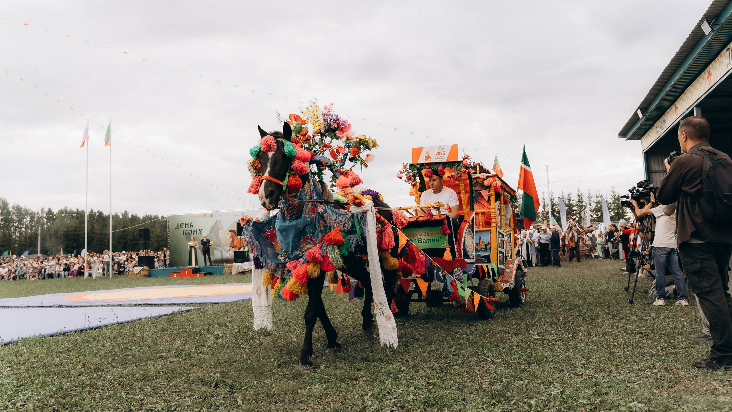 День Коня. Алиса Никитцова | Фотограф в Казани