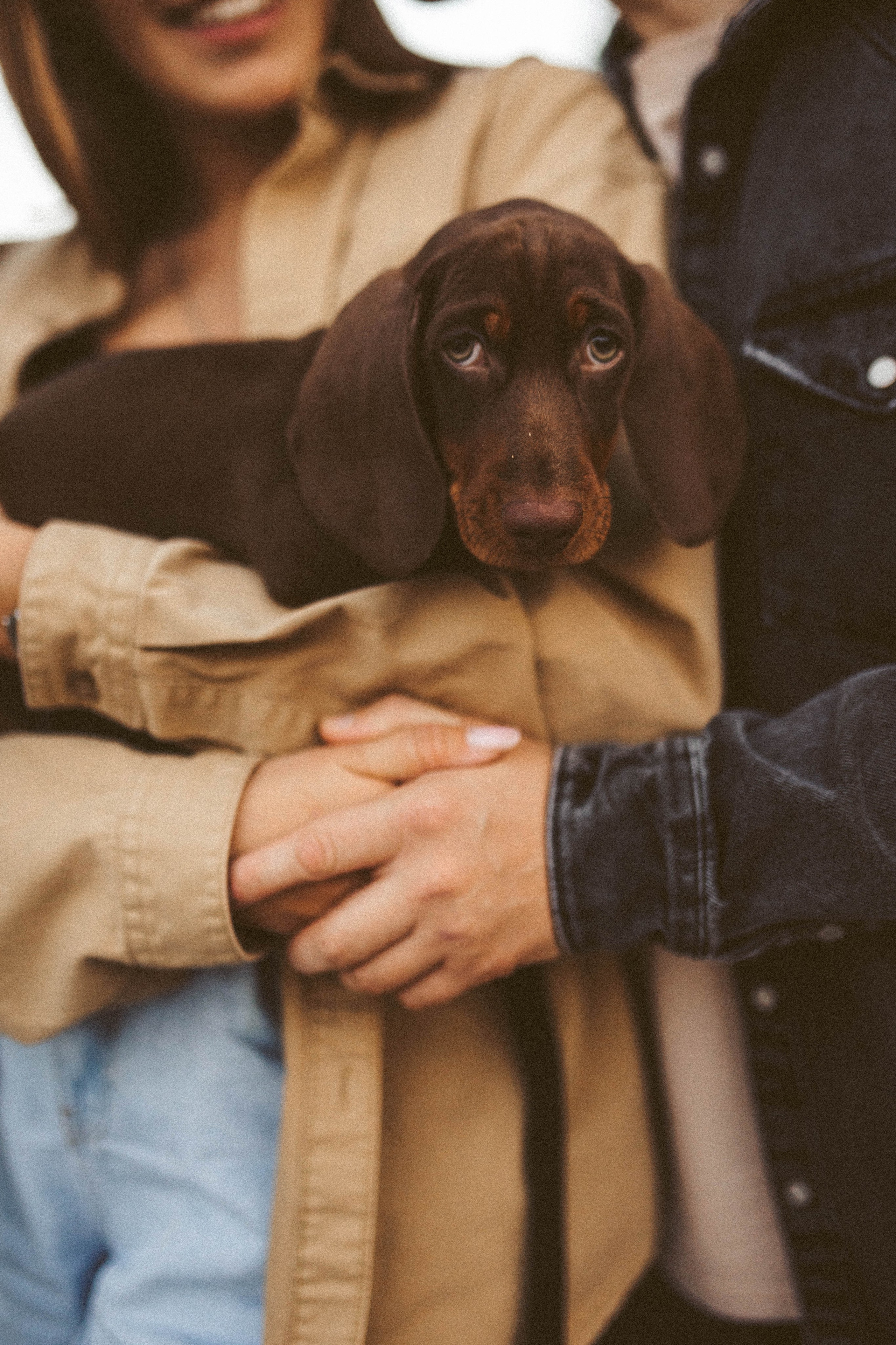 Руслан/Вика/Велес. Фотограф в Москве Татьяна Сергеева