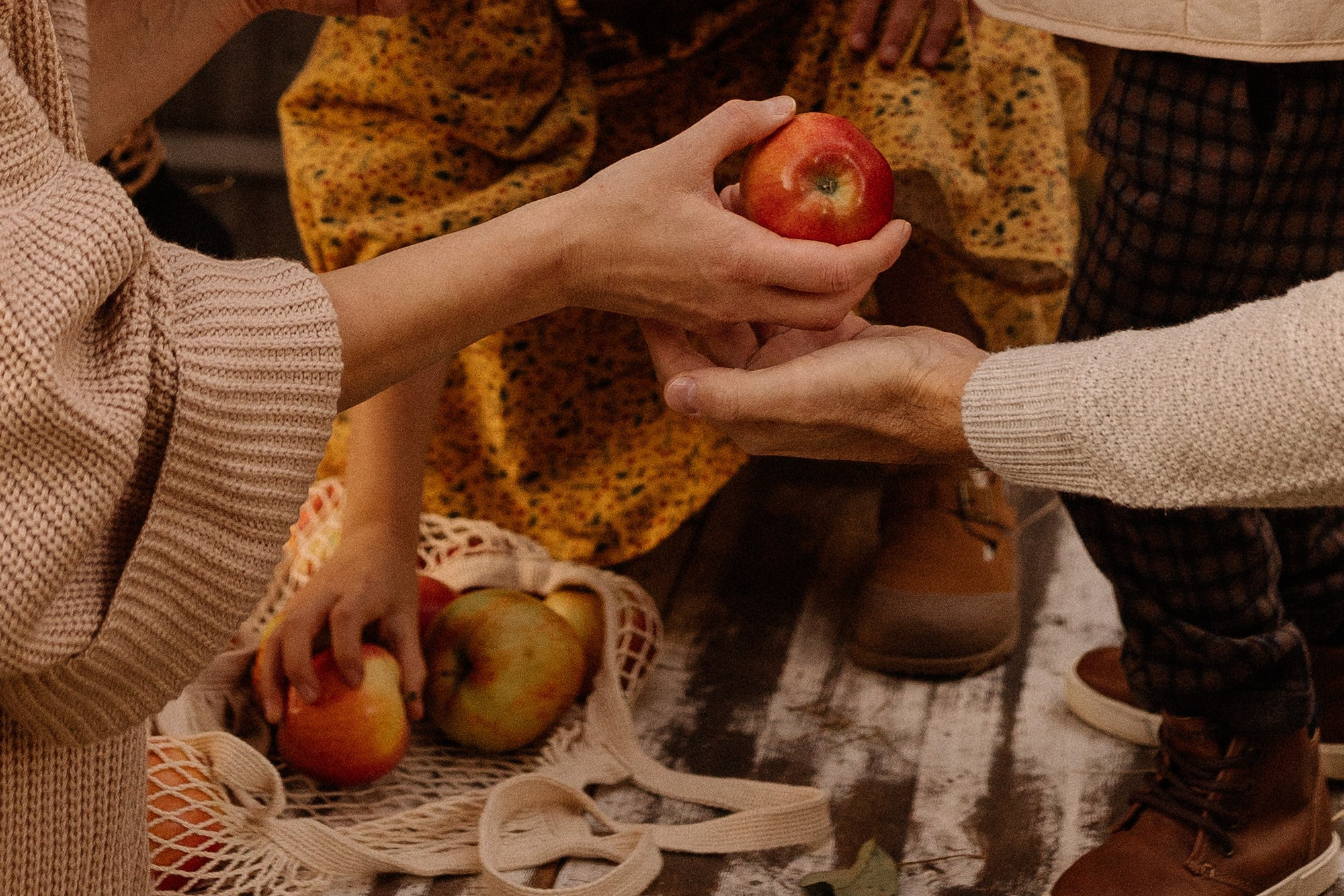 Осень в деревне. Семейный фотограф Москва детский фотограф Одинцово фотосессия беременности Рогачева Екатерина