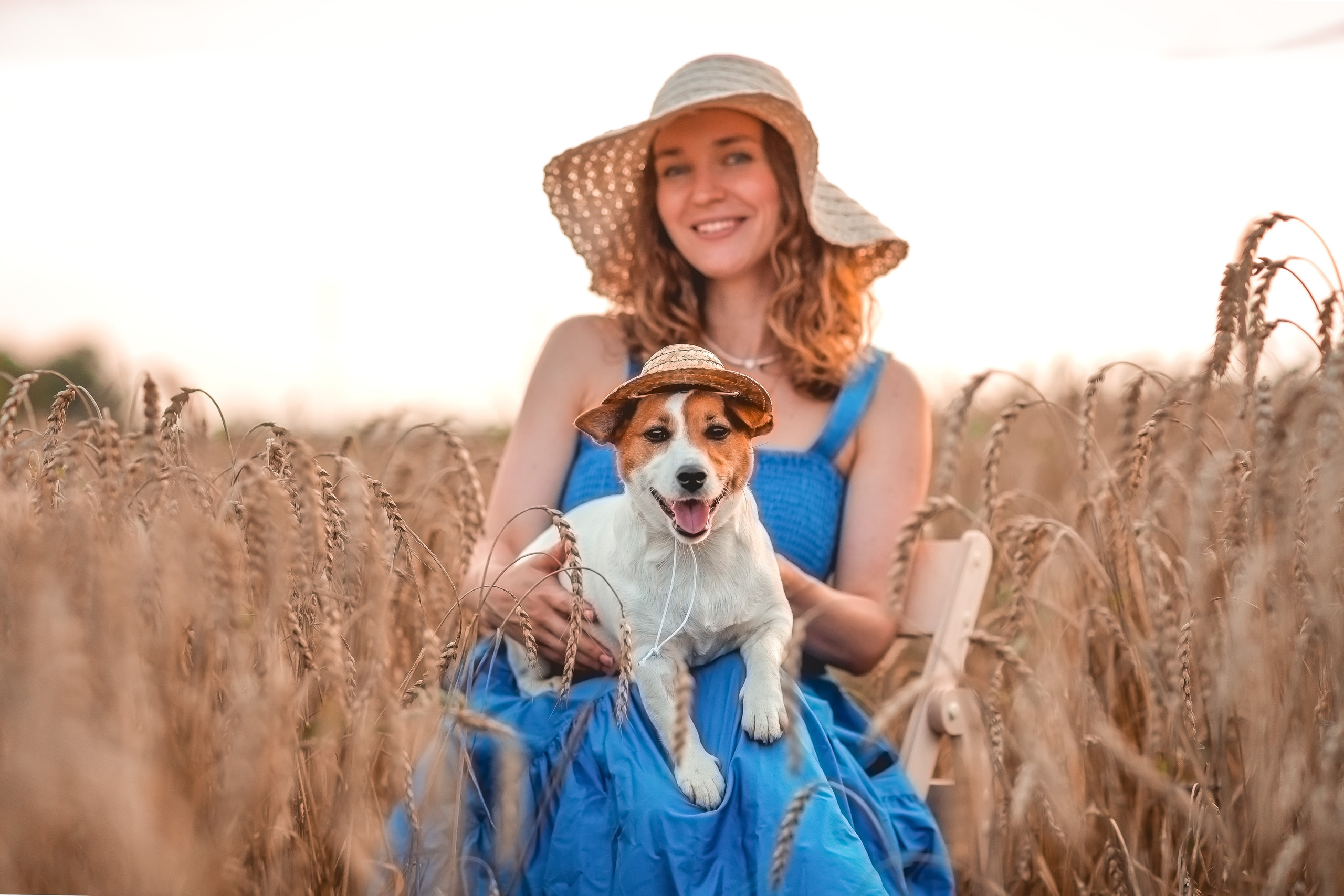 Катя и Холюша в пшеничном поле. Семейный фотограф анималист Мария Крючкова