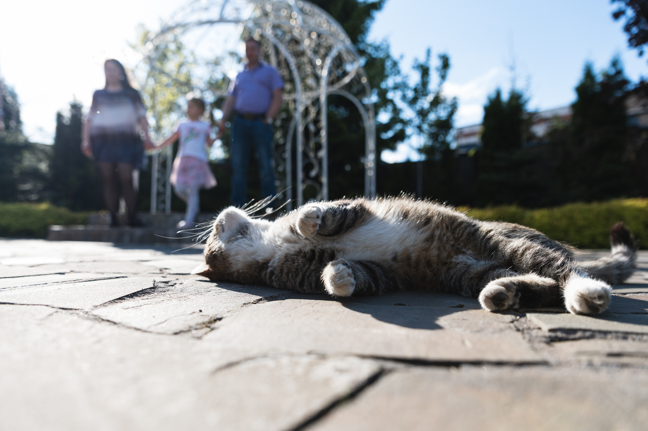 Александр и Александра. Фотограф в Санкт-Петербурге Александр Беляшов