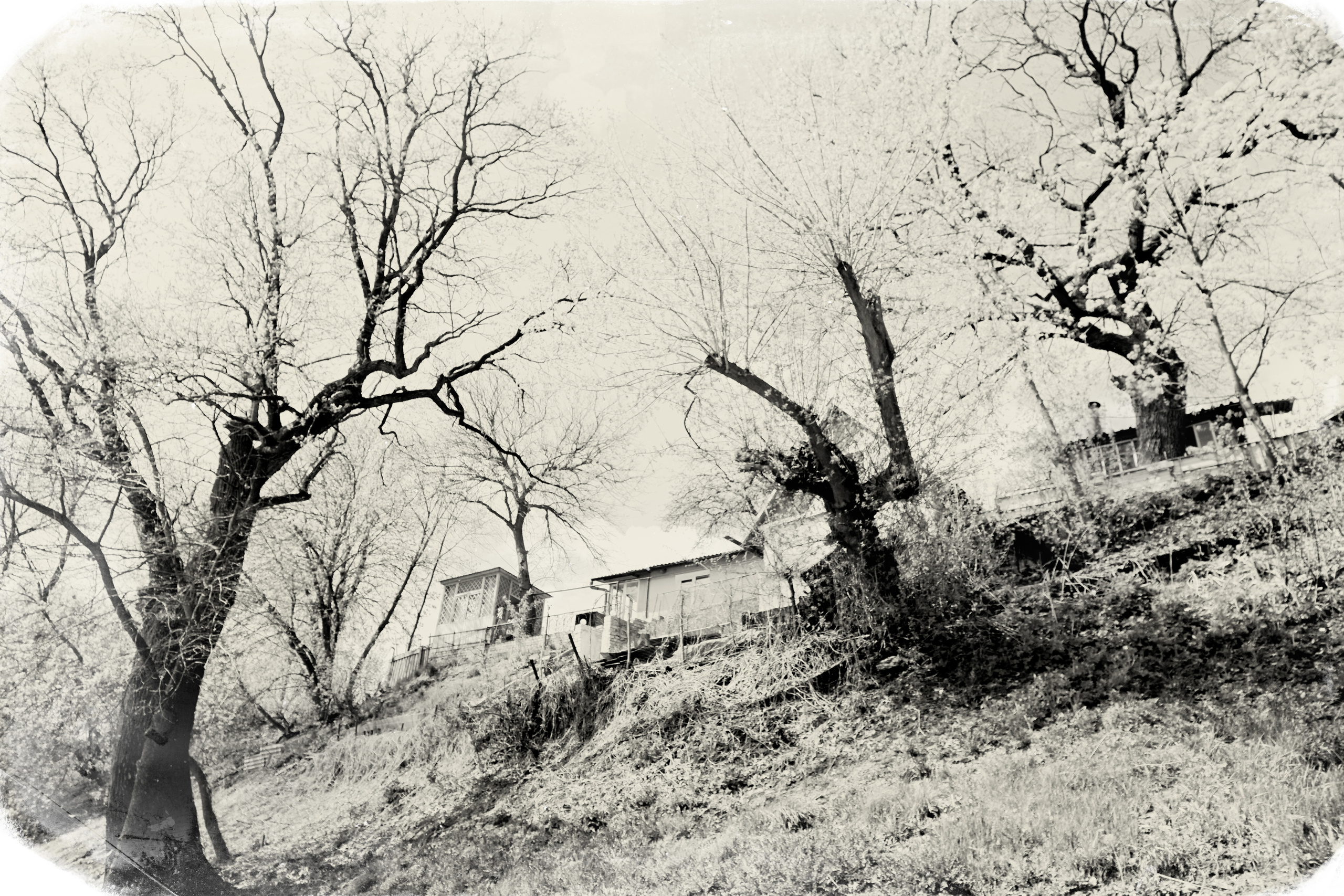 ЧБ  пейзажи (BnW landscape). Фотограф (photographer) Lischinski Vitaliy