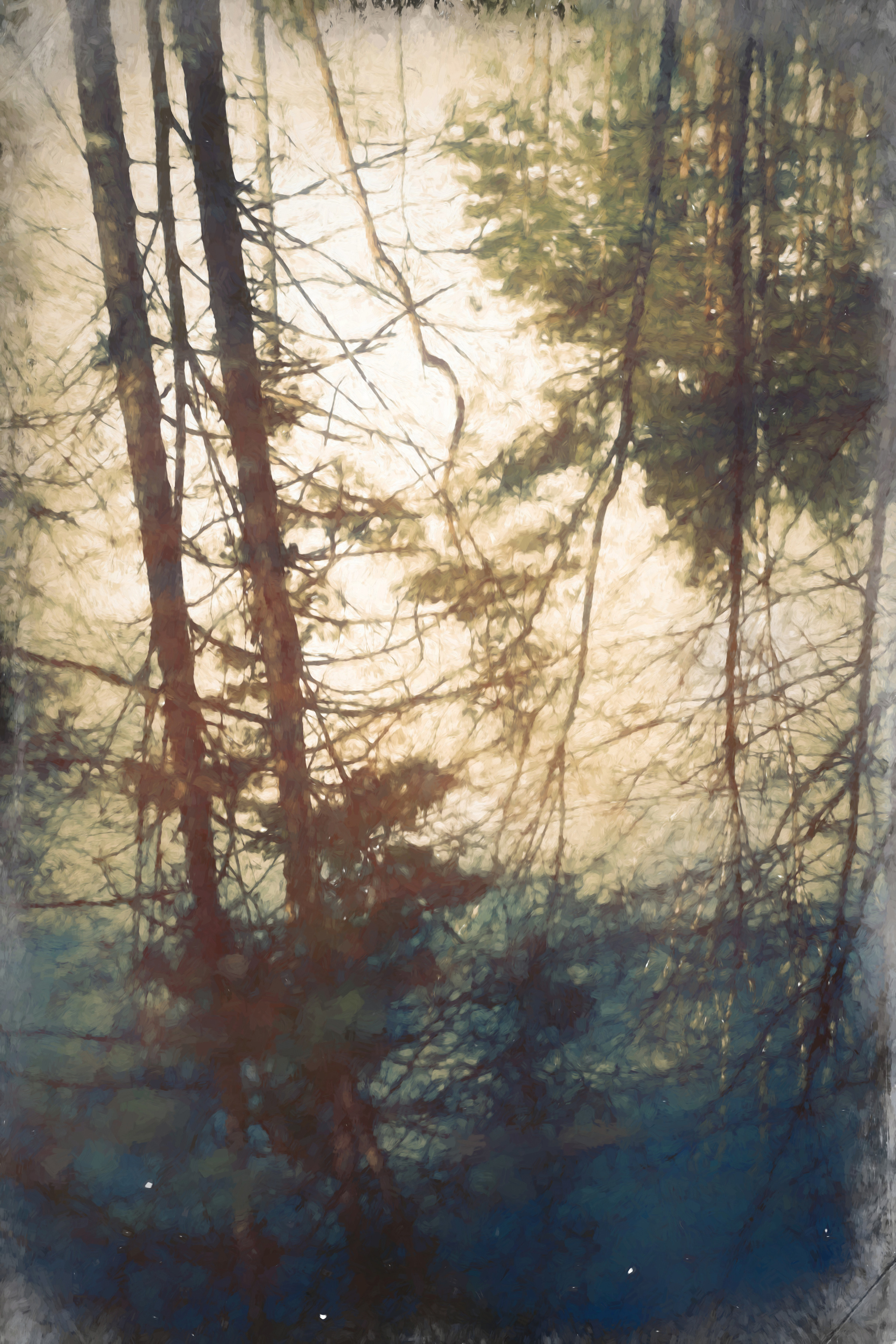 Фотокартины в Гомеле, картины в Гомеле