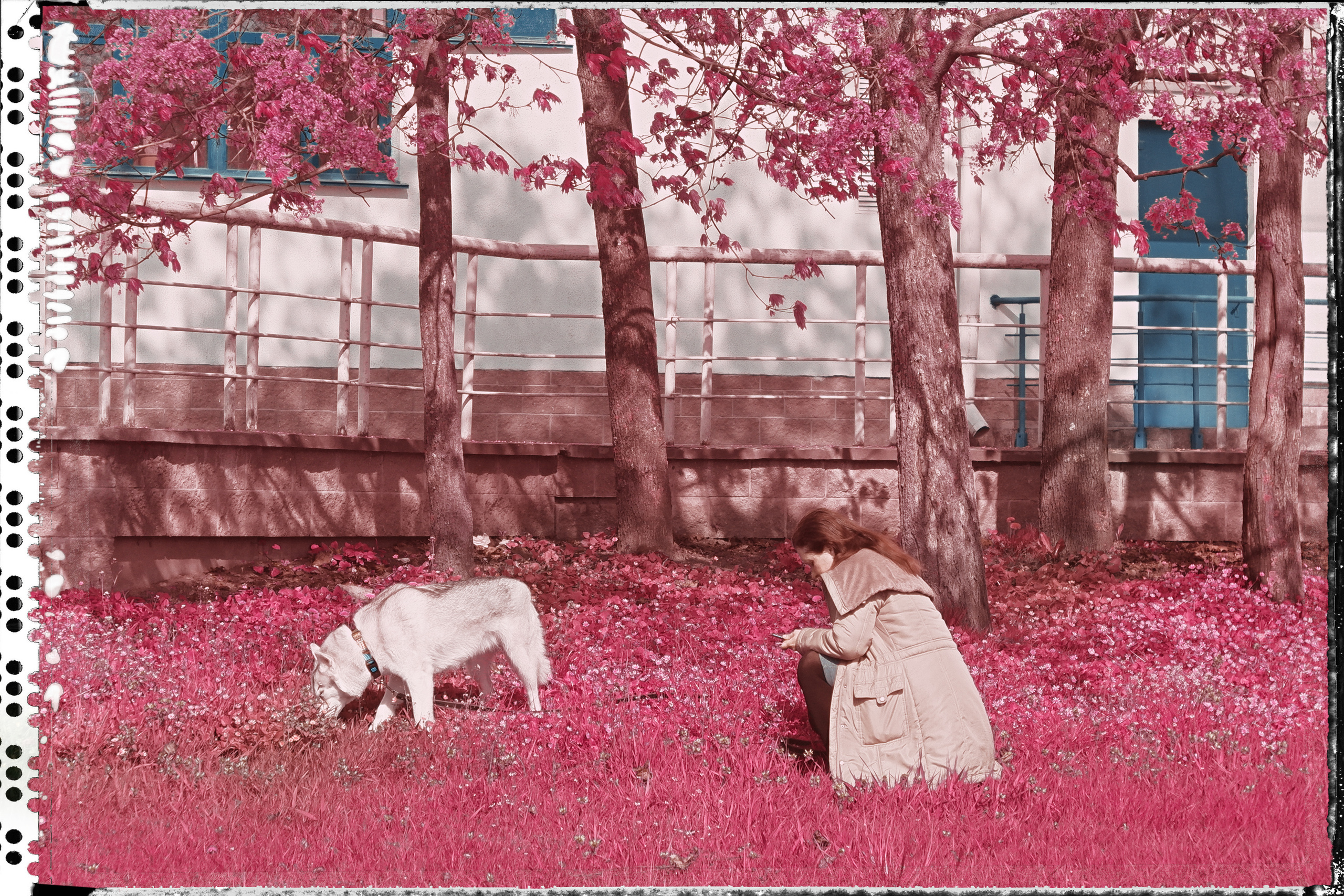 Street photo. Фотограф (photographer) Lischinski Vitaliy