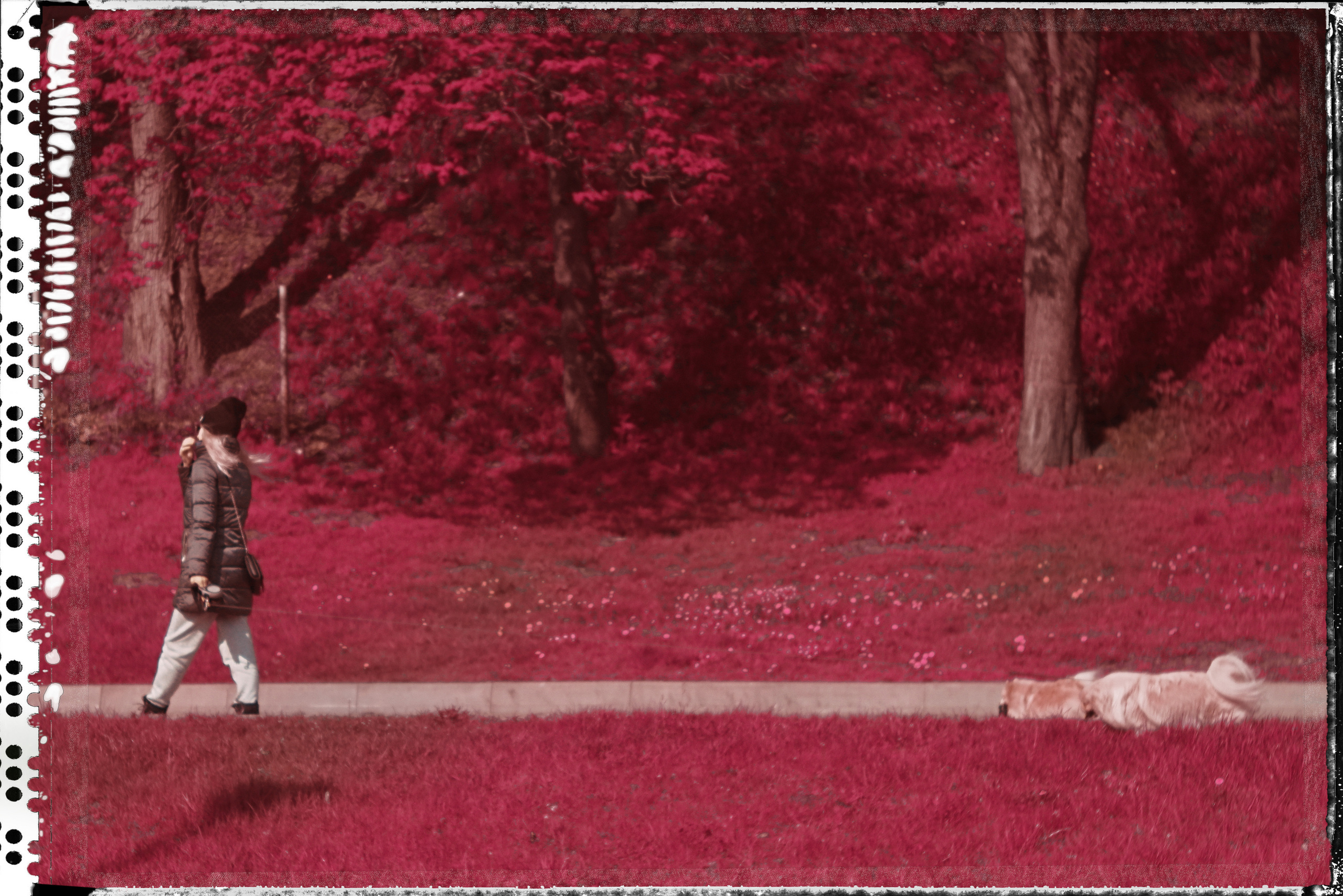 Street photo. Фотограф (photographer) Lischinski Vitaliy