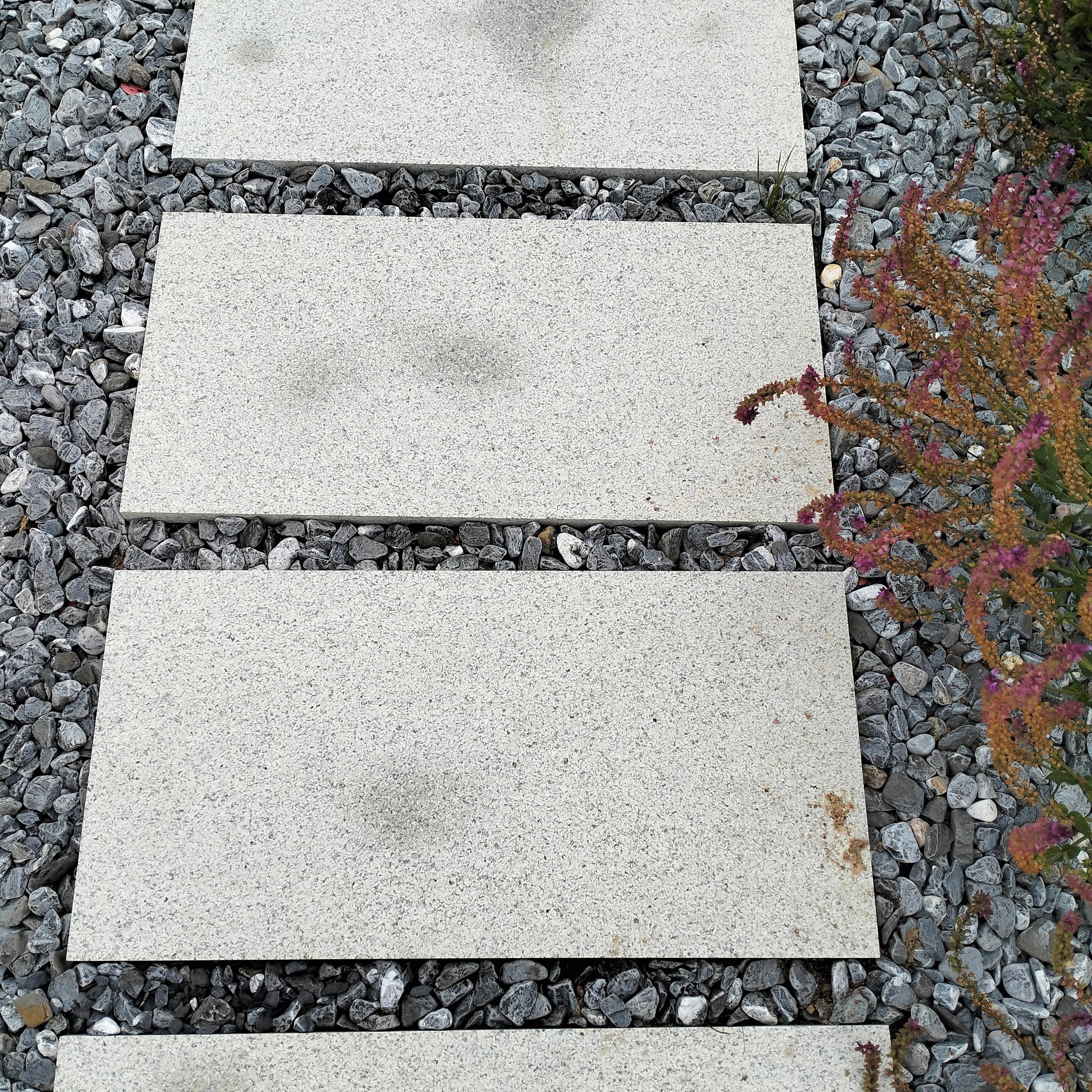 Сад за сезон. Дизайнер интерьера, Санкт-Петербург