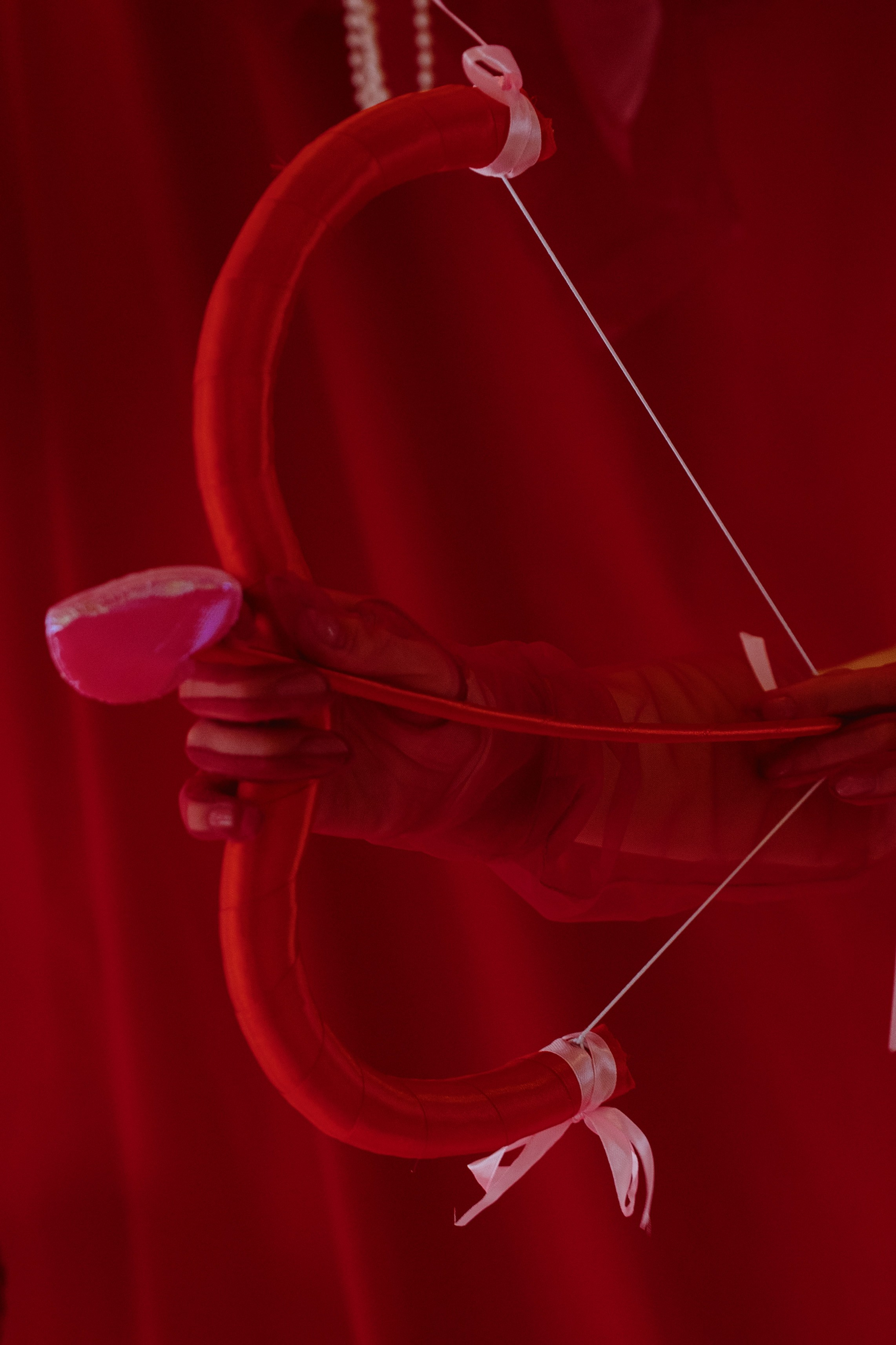 Joie Flowers. İrandek. Fotoğrafçı. İzmir