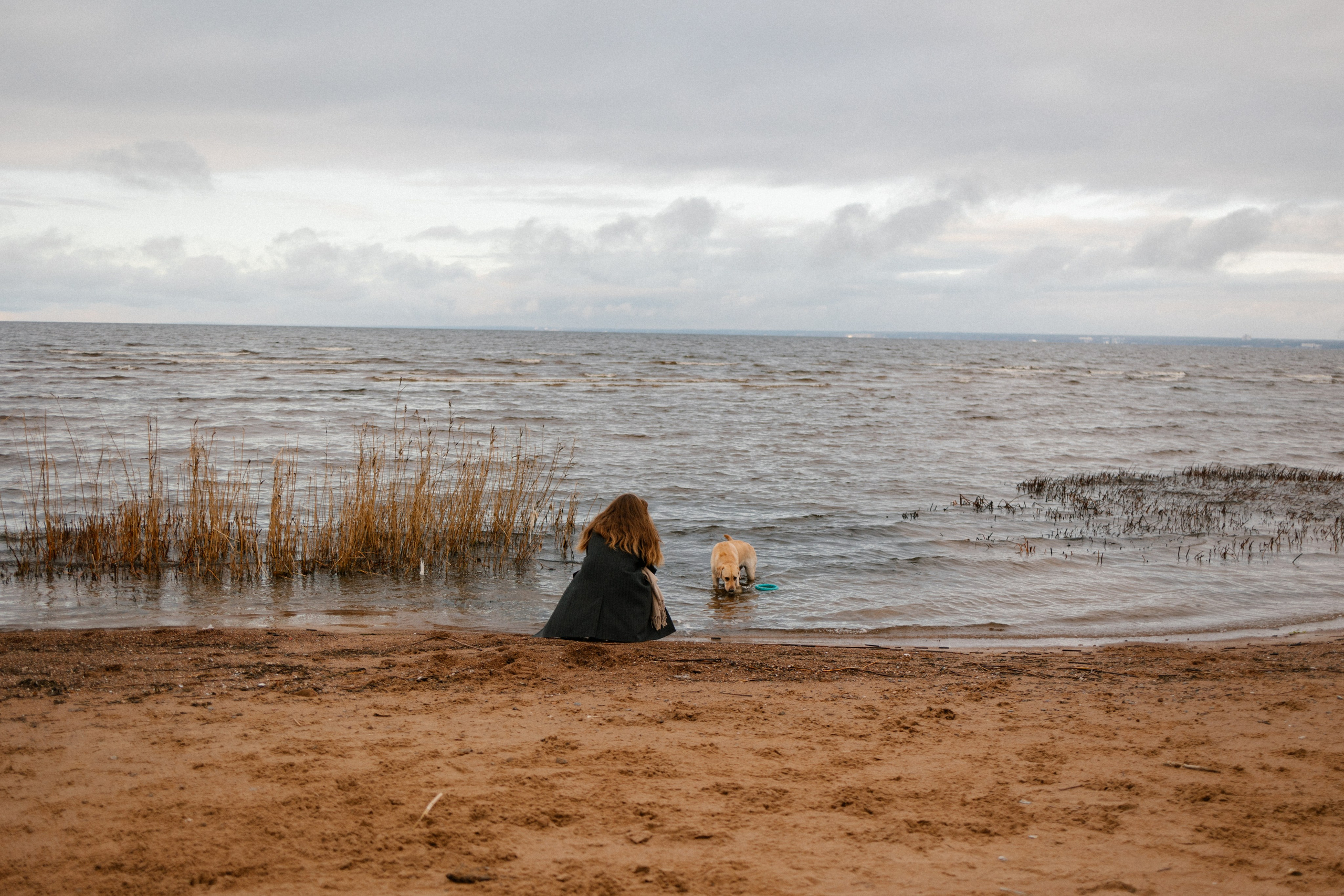 Ирина и Бася. Фотограф — Анималист | Санкт-Петербург