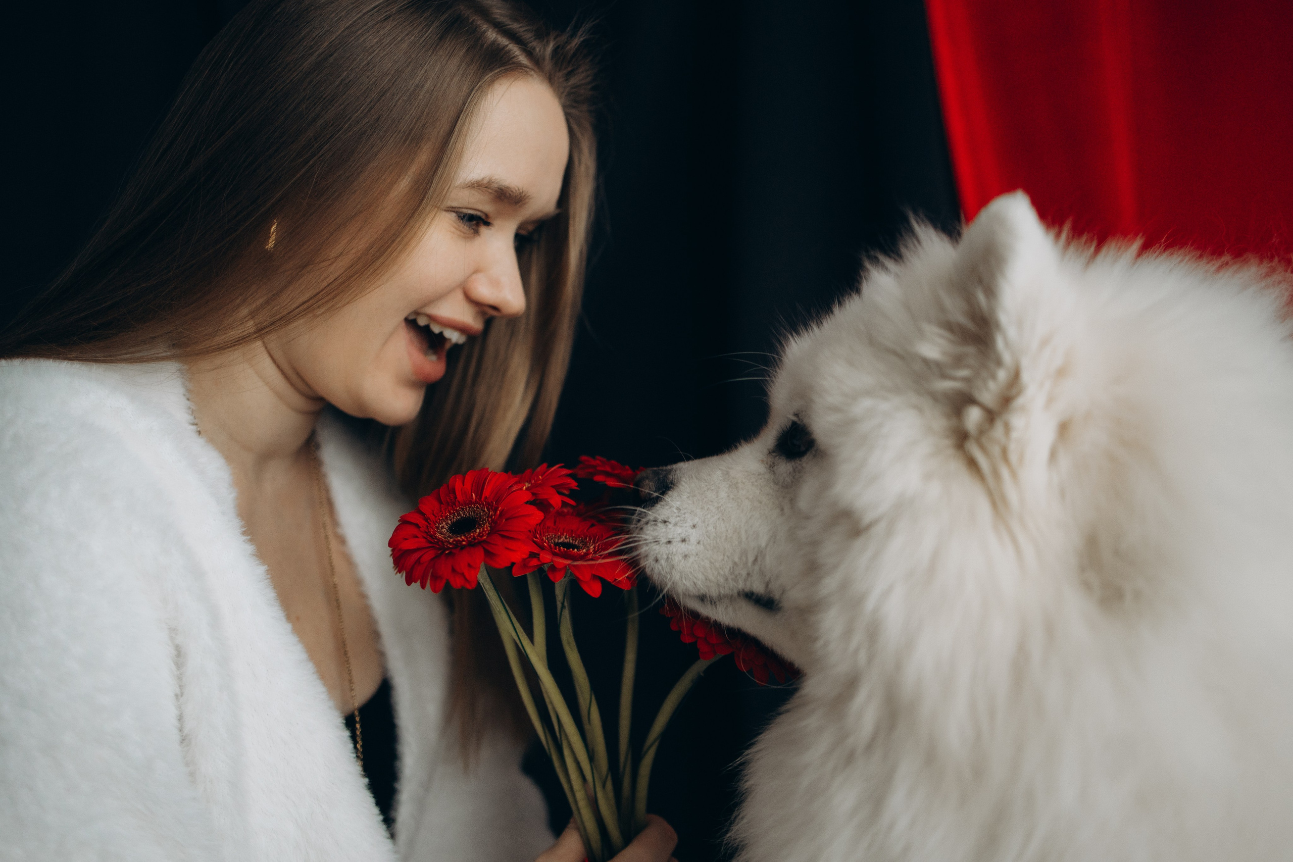 Настя и Кристофер. Фотограф — Анималист | Санкт-Петербург