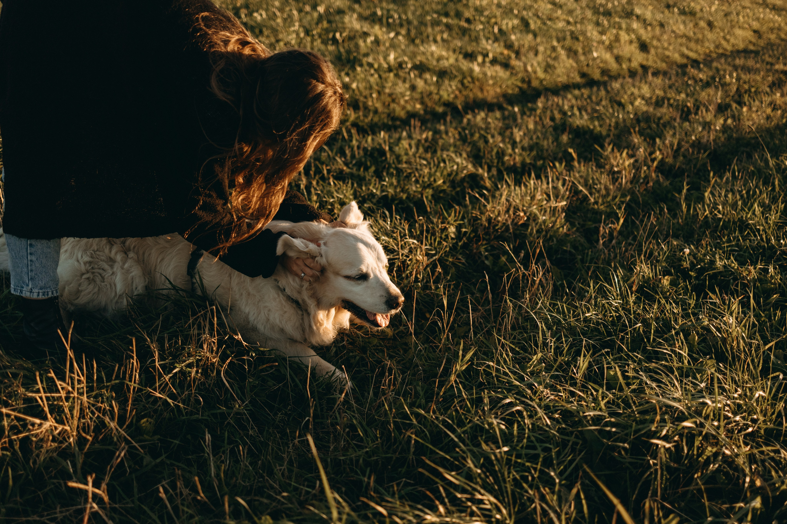Лера и Скай. Фотограф — Анималист | Санкт-Петербург