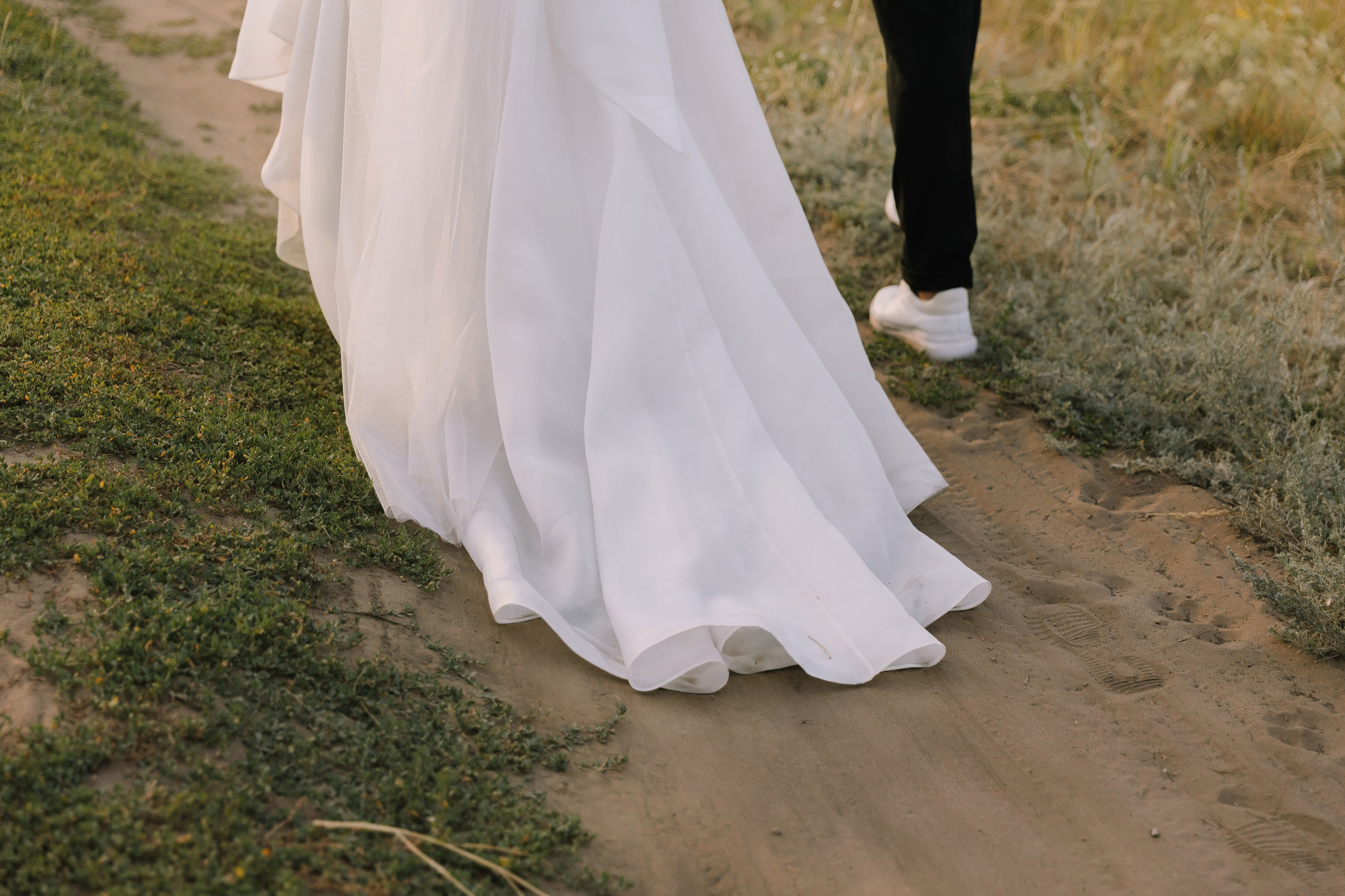 Бабочки. Фотограф Елена Краснопевцева