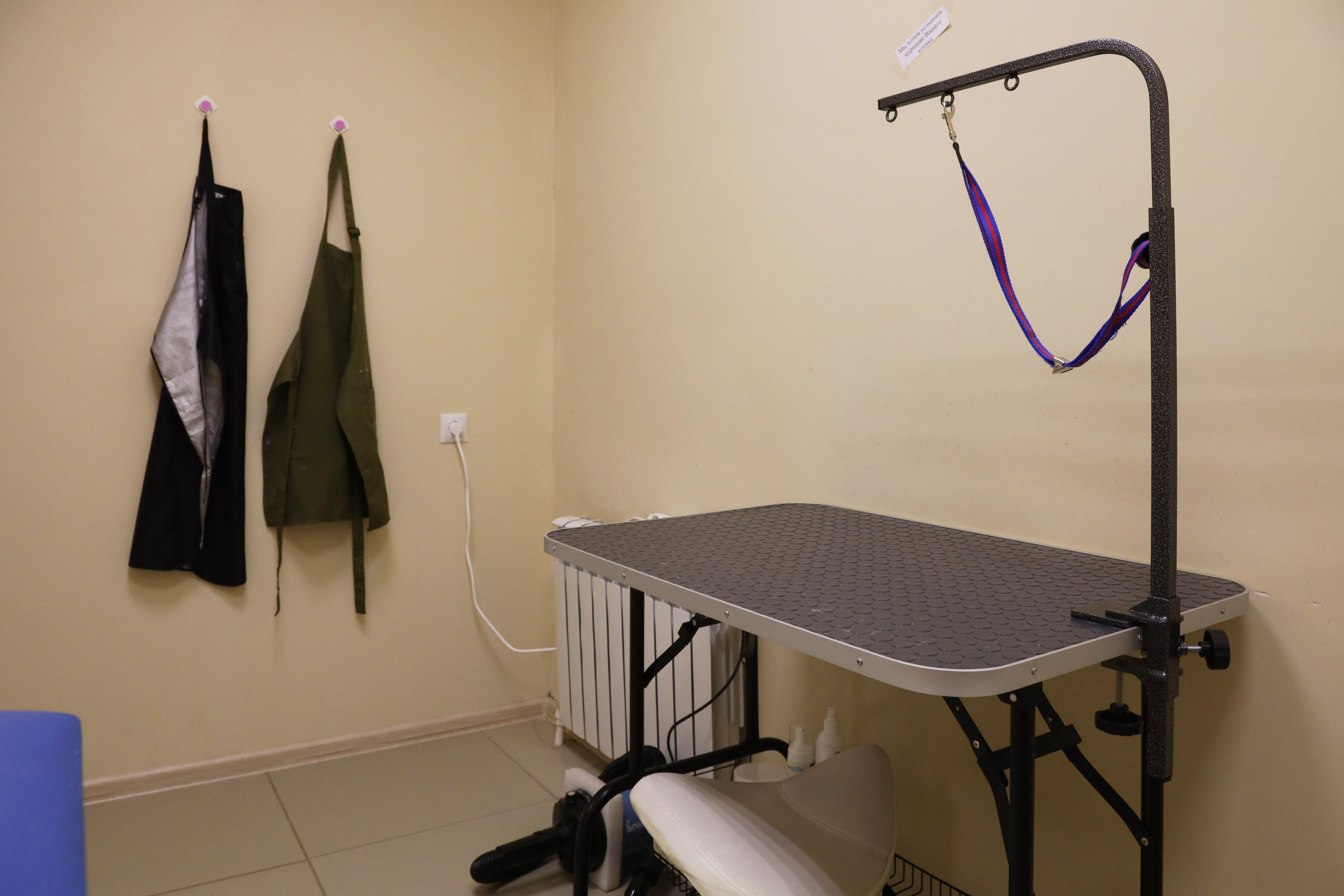 Ветеринарная клиника «Мокрый нос». Фотограф Сергей Феденко