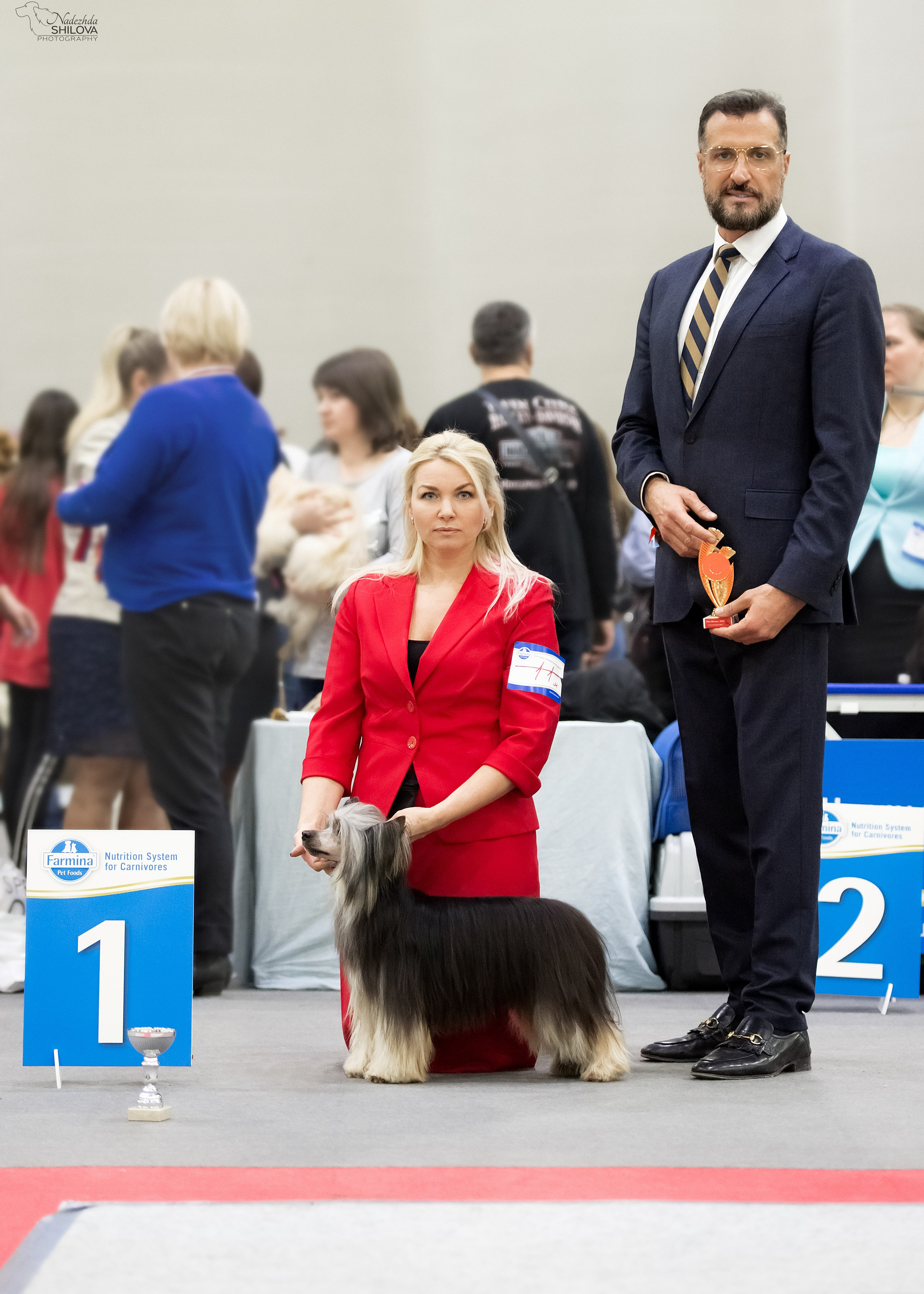 Poale Ell Bazhen. Chinese Crested Dog Kennel Poale Ell