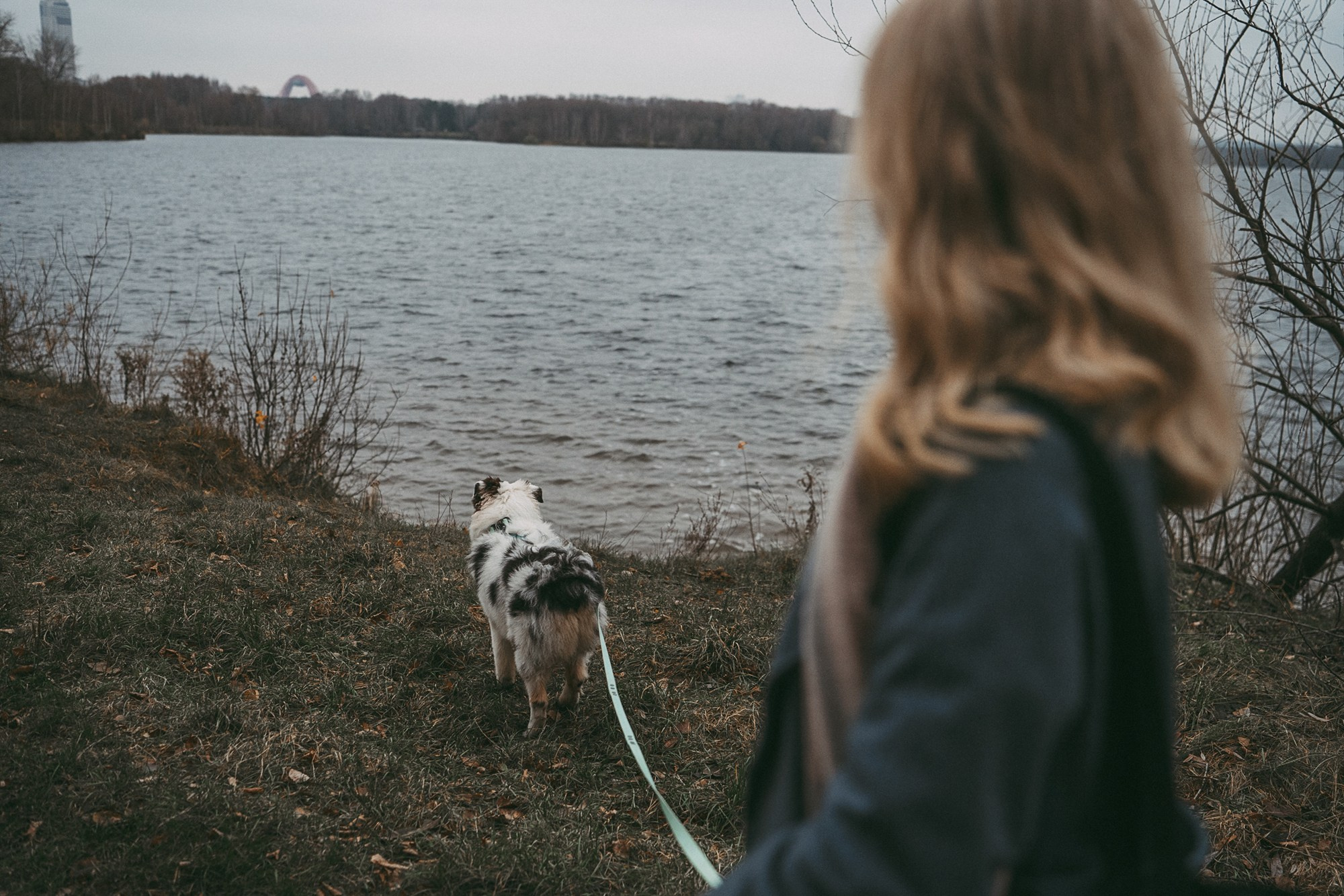 Лиза и Бублик. Фотограф анималист в Москве и Санкт-Петербурге Свиридова Анна