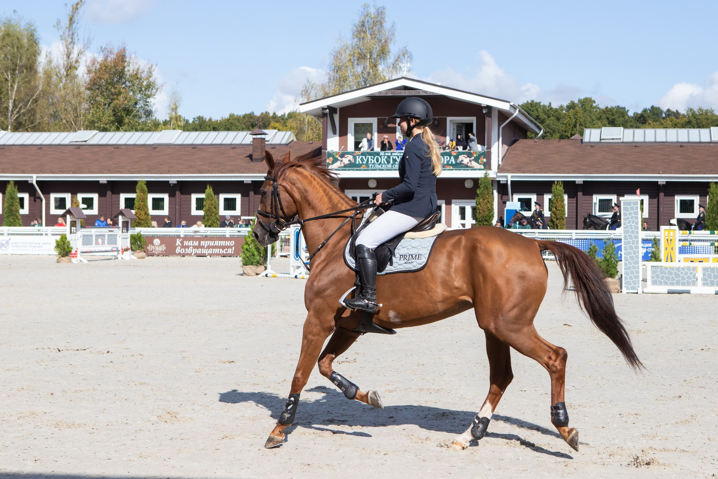 Кубок Губернатора по конкуру (21 сентября 2019). Репортажный фотограф Алексей Пирязев