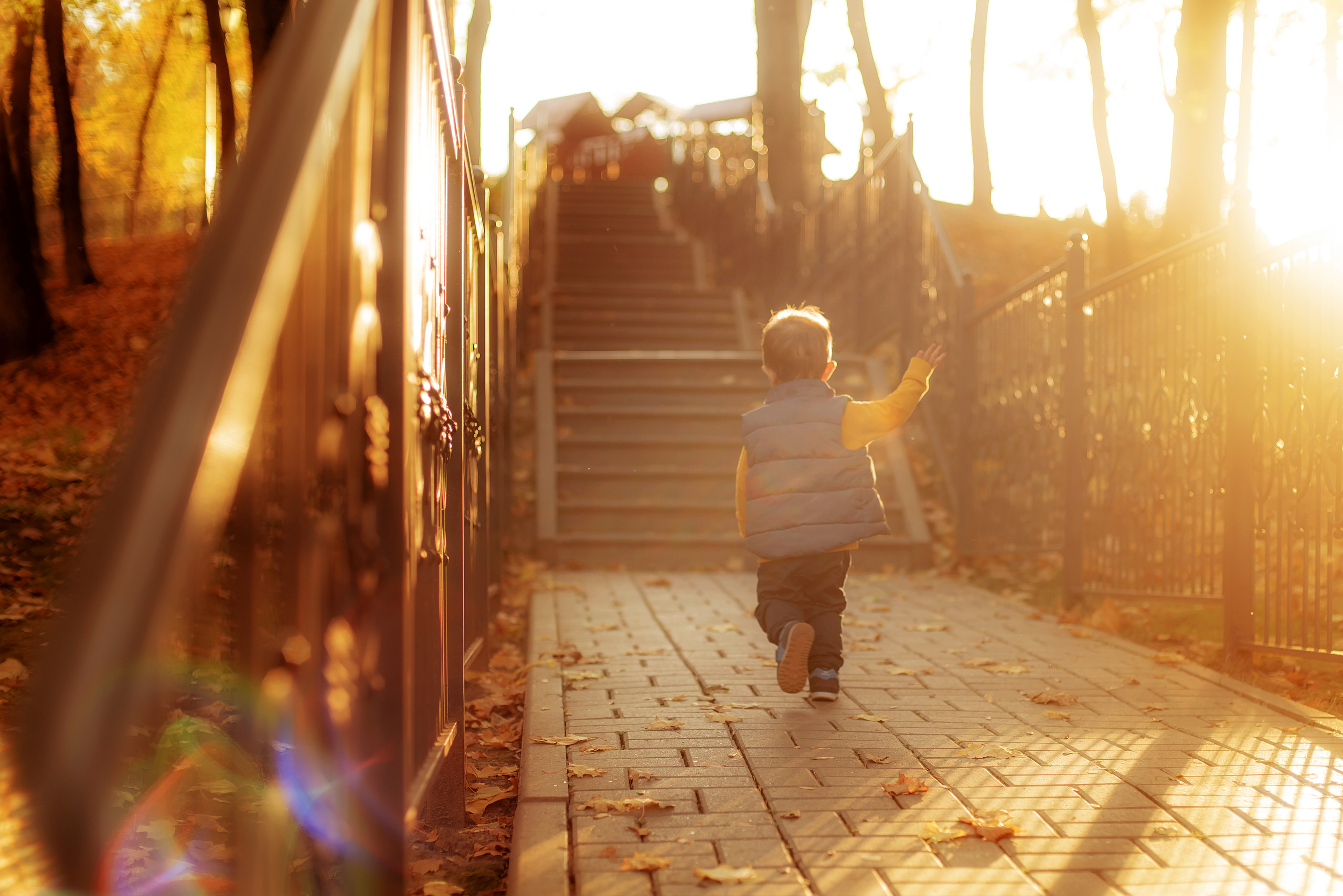 Саша и Макс. Семейный и свадебный фотограф и видеограф в Туле и Москве