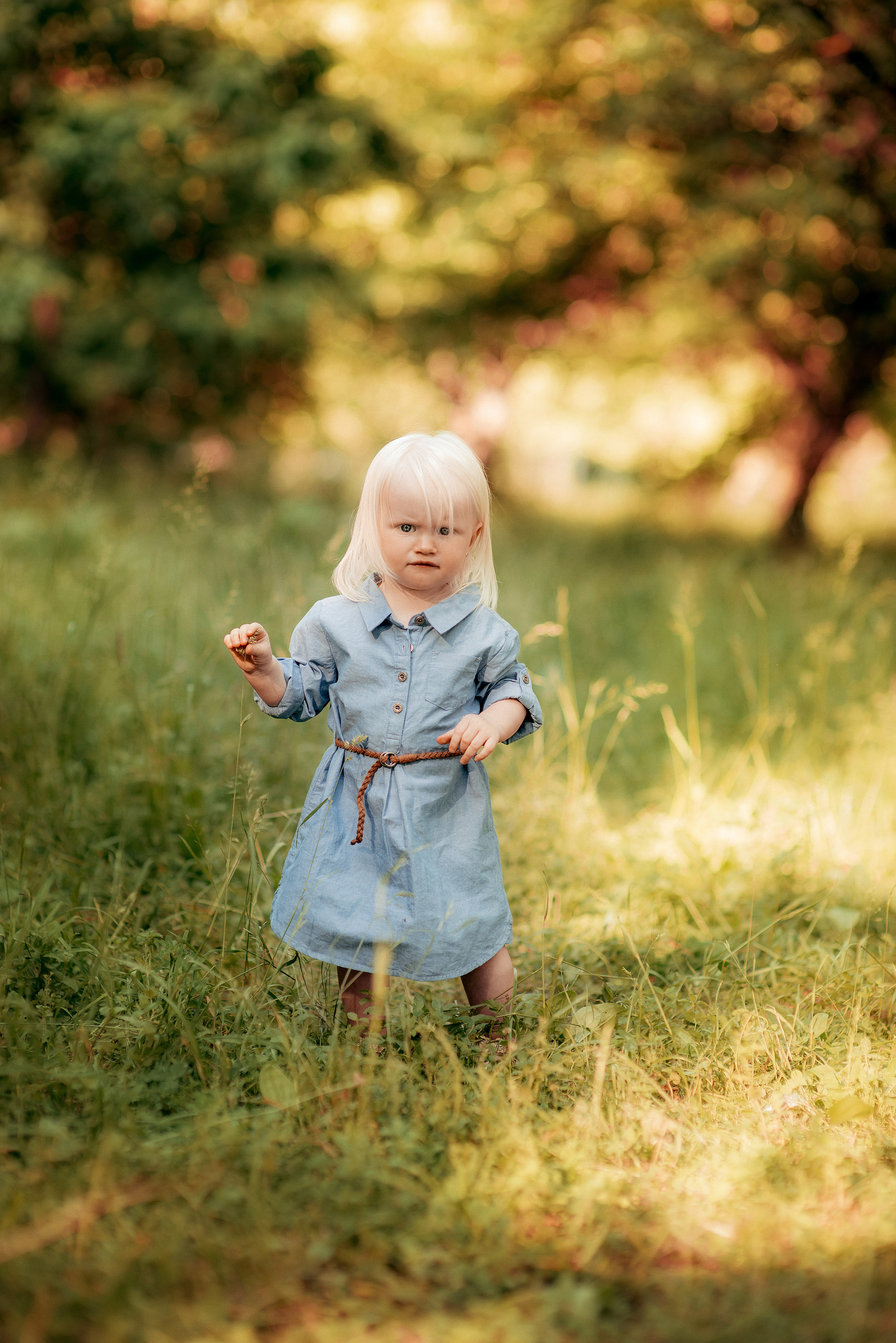Александра. Семейный и свадебный фотограф и видеограф в Туле и Москве