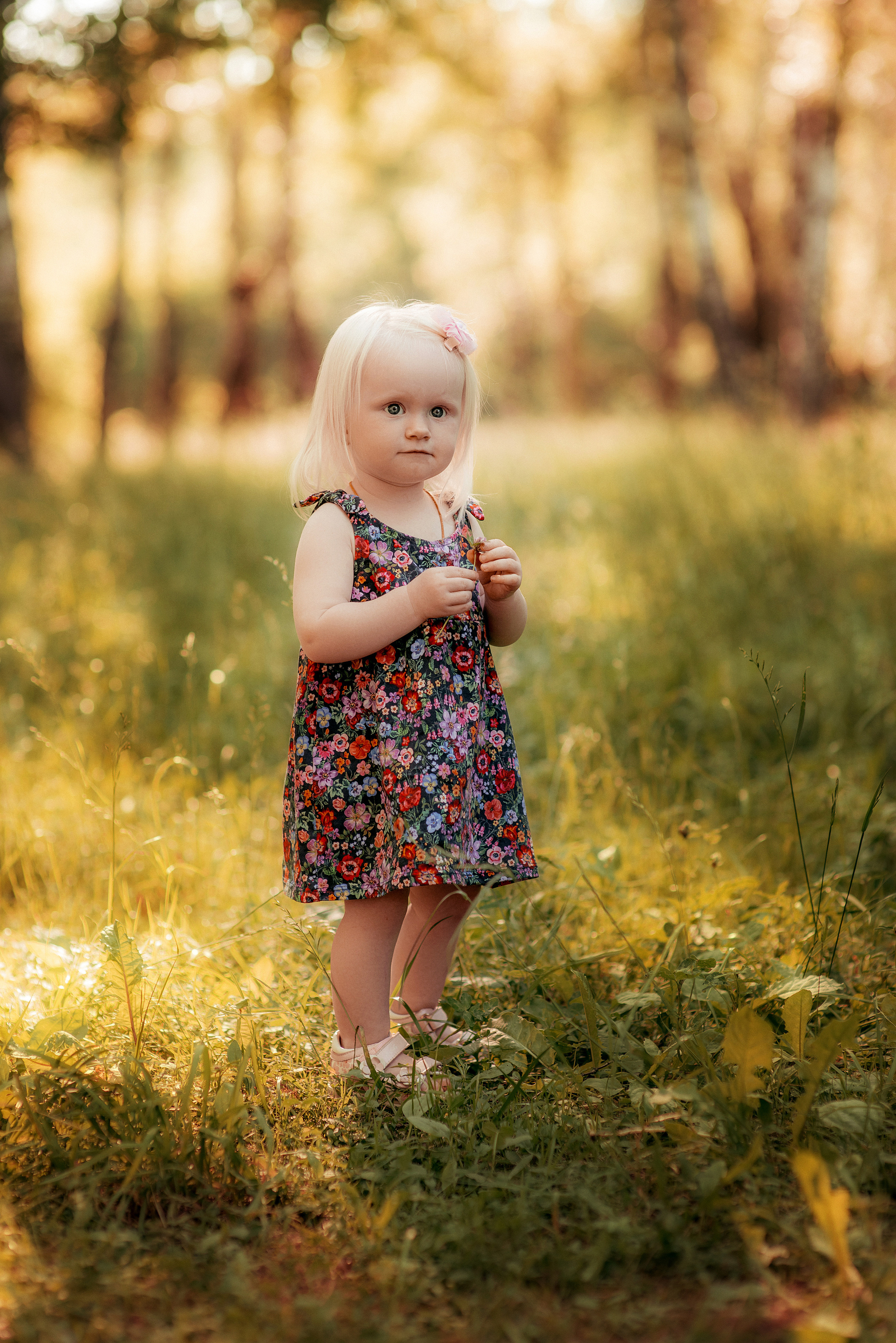 Александра. Семейный и свадебный фотограф и видеограф в Туле и Москве