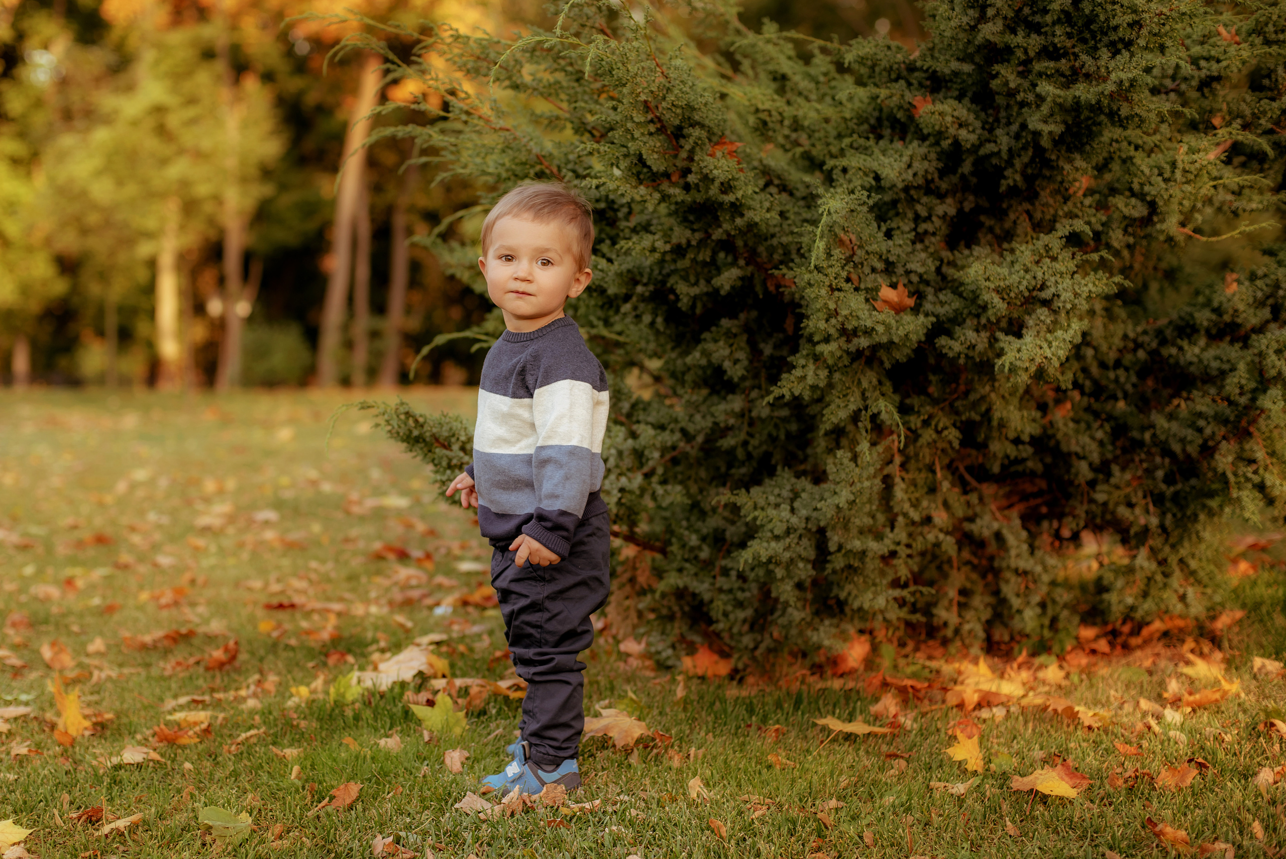 Саша и Макс. Семейный и свадебный фотограф и видеограф в Туле и Москве