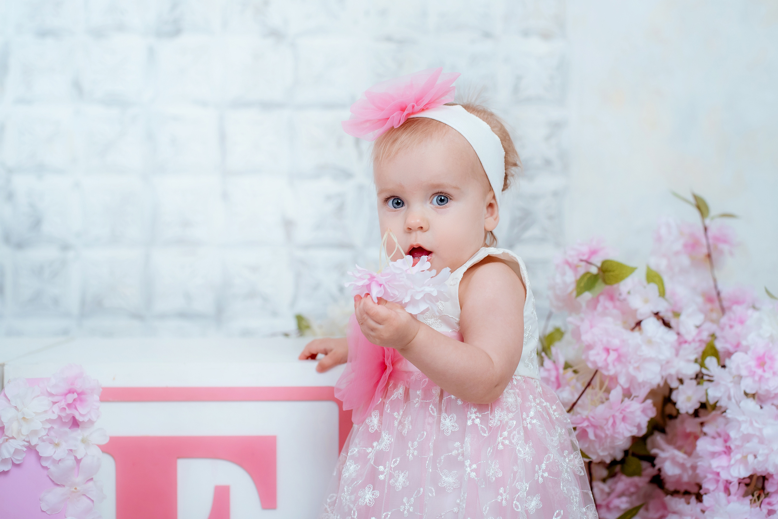 Алиса. Семейный и свадебный фотограф и видеограф в Туле и Москве