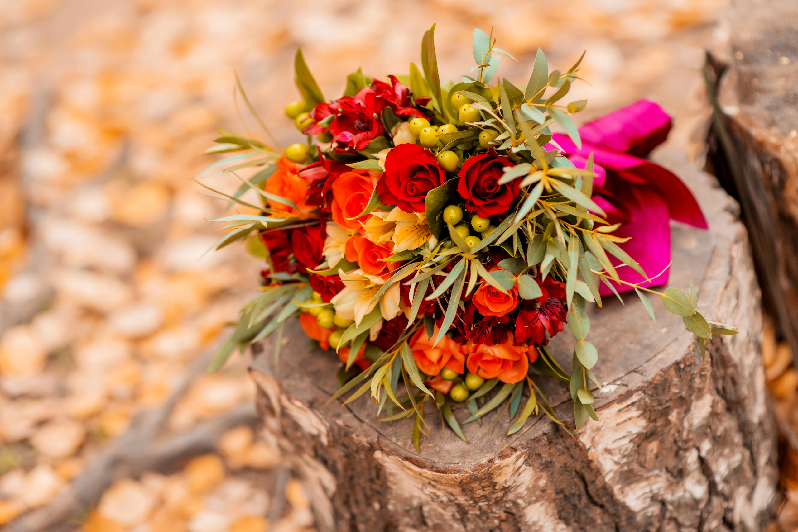 Оля и Дима. Семейный и свадебный фотограф и видеограф в Туле и Москве