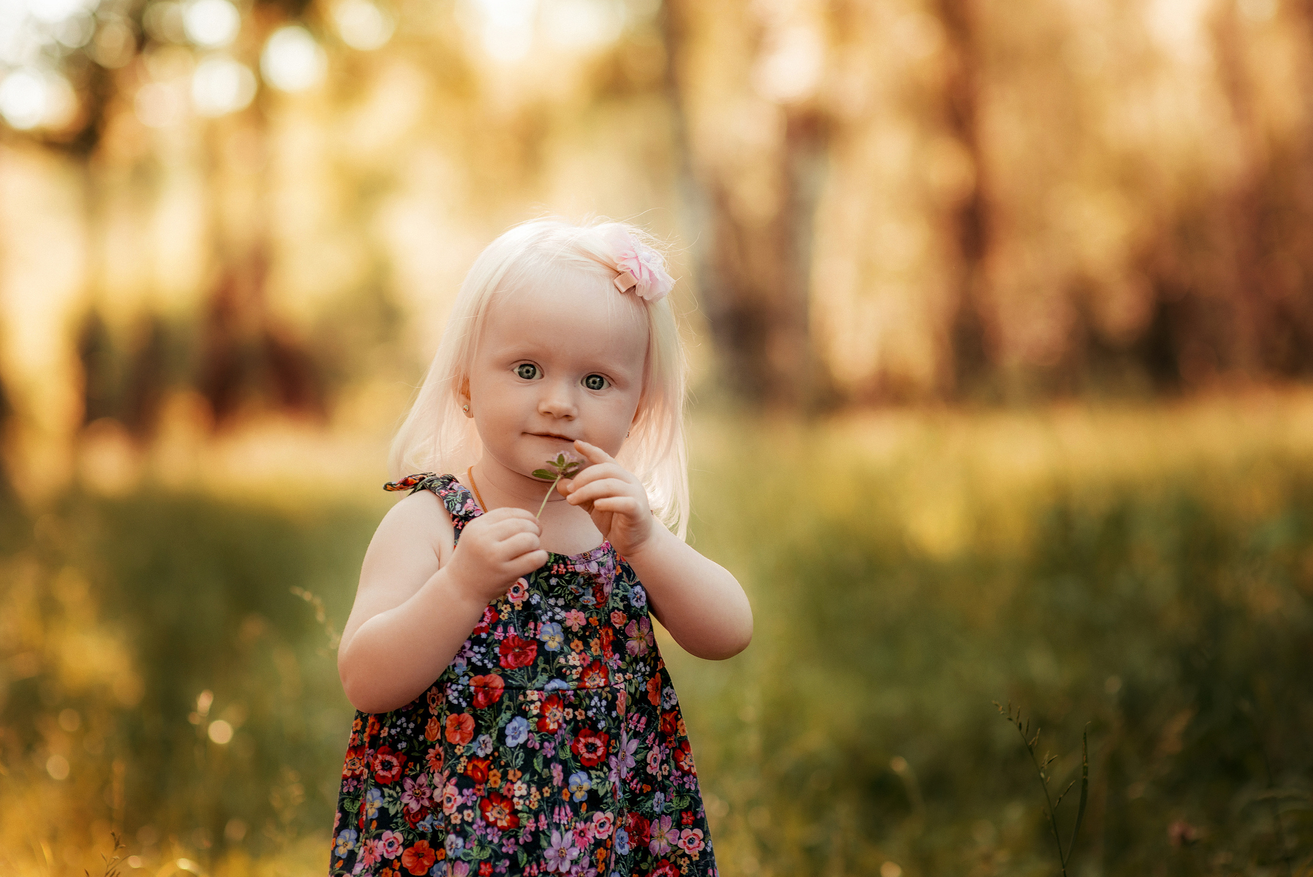Александра. Семейный и свадебный фотограф и видеограф в Туле и Москве