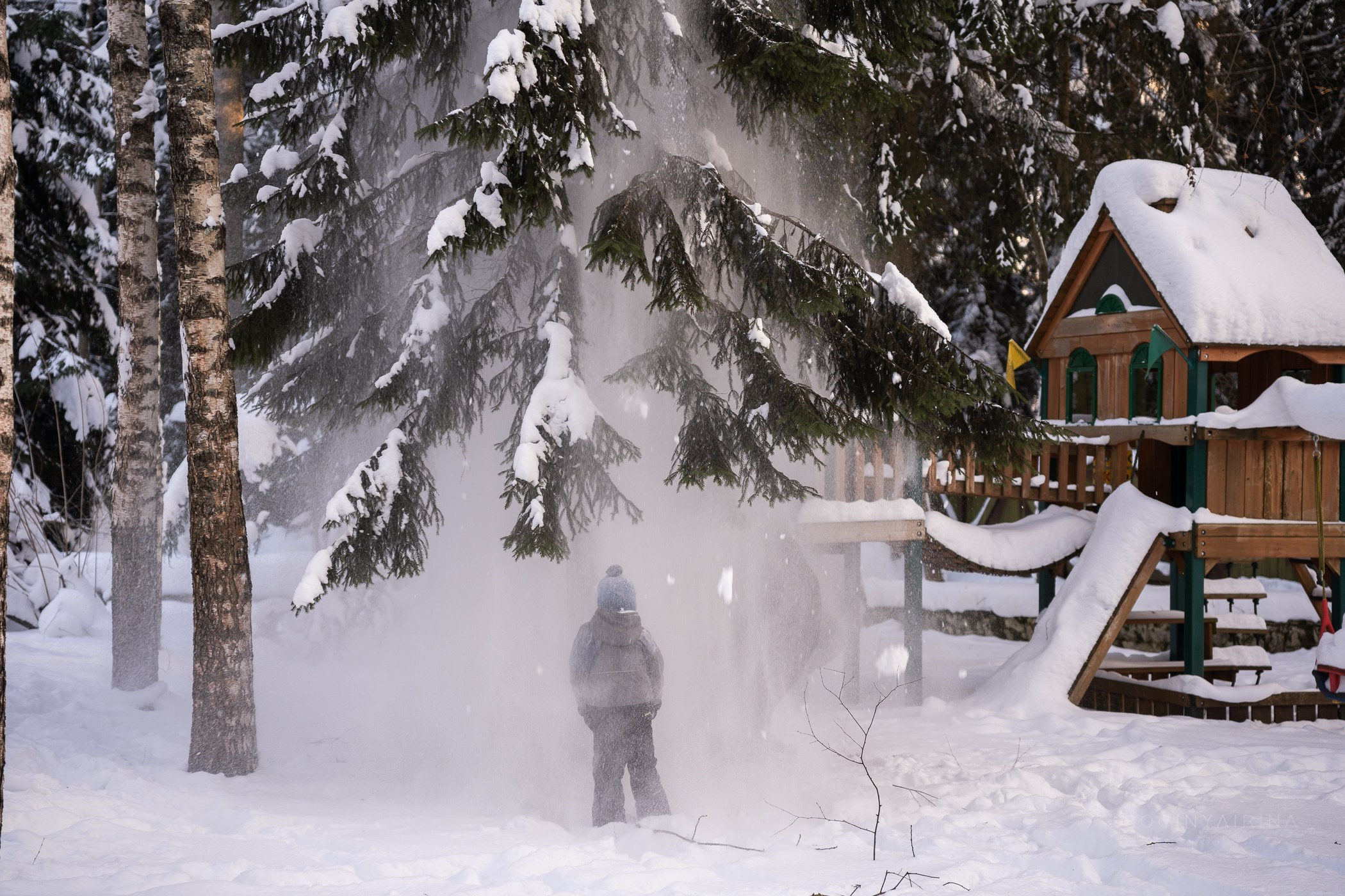 фотосессия дорого и стильно