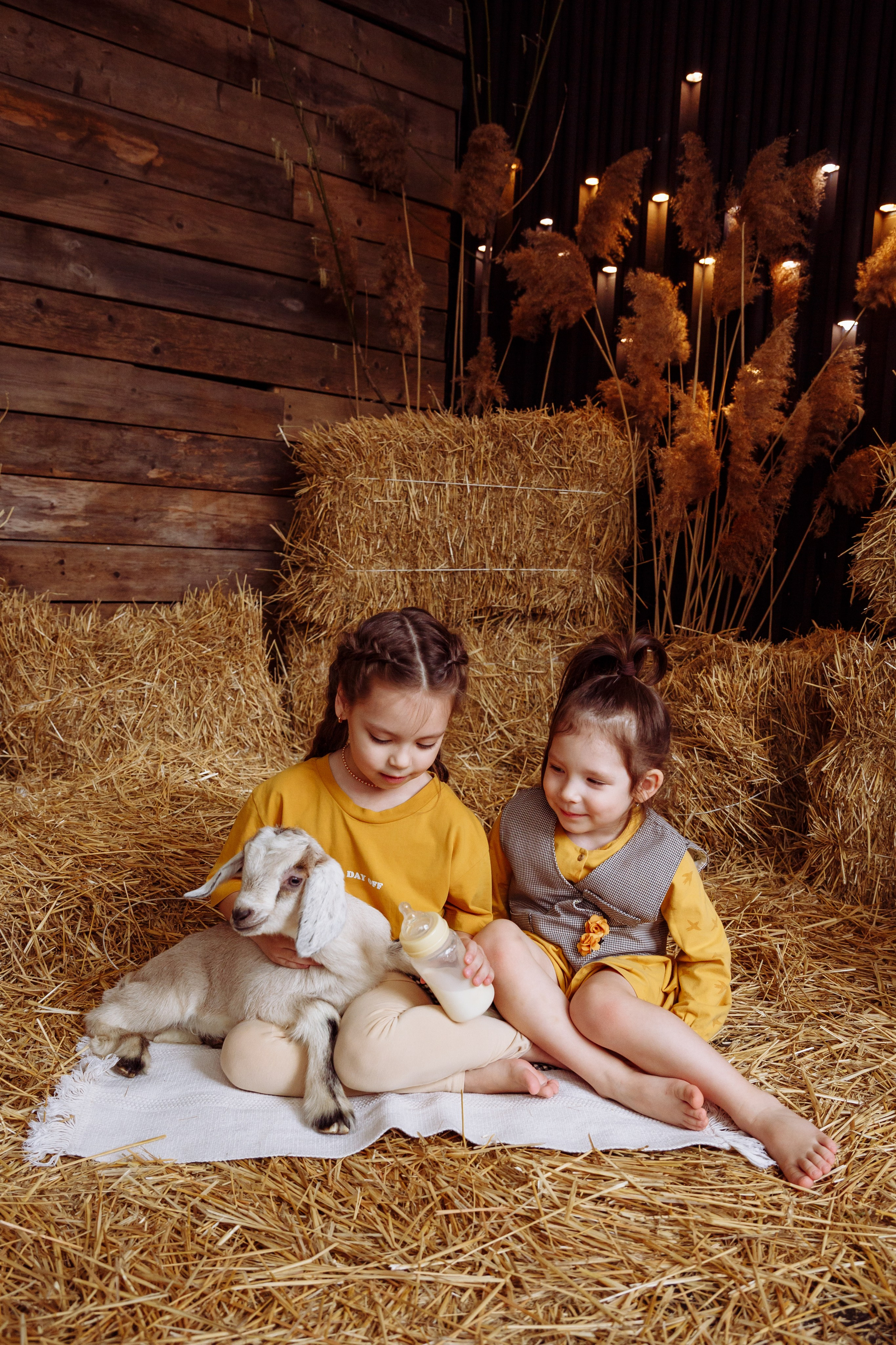 Козлик 2025. Фотограф новорожденных Тверь Диана Муляева