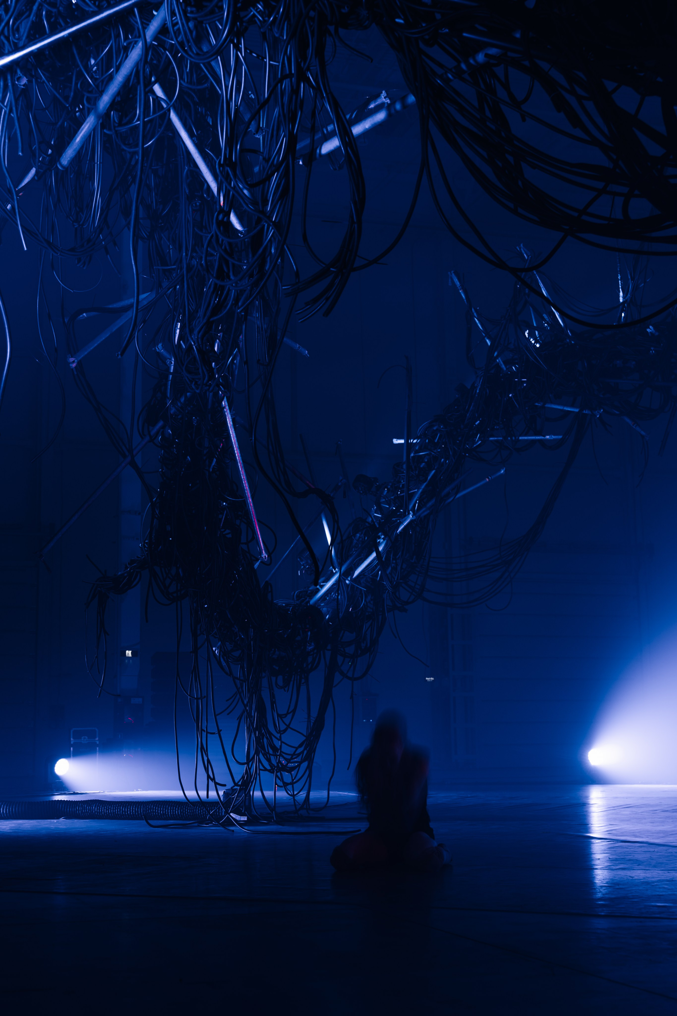 PERFORMA, The Hour of the Horse. @tomrus: Рустам Шагиморданов — фотограф