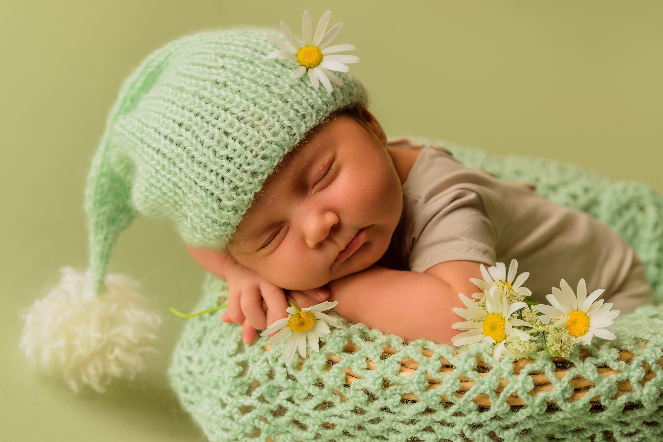 спящая новорожденная малышка с ромашками 