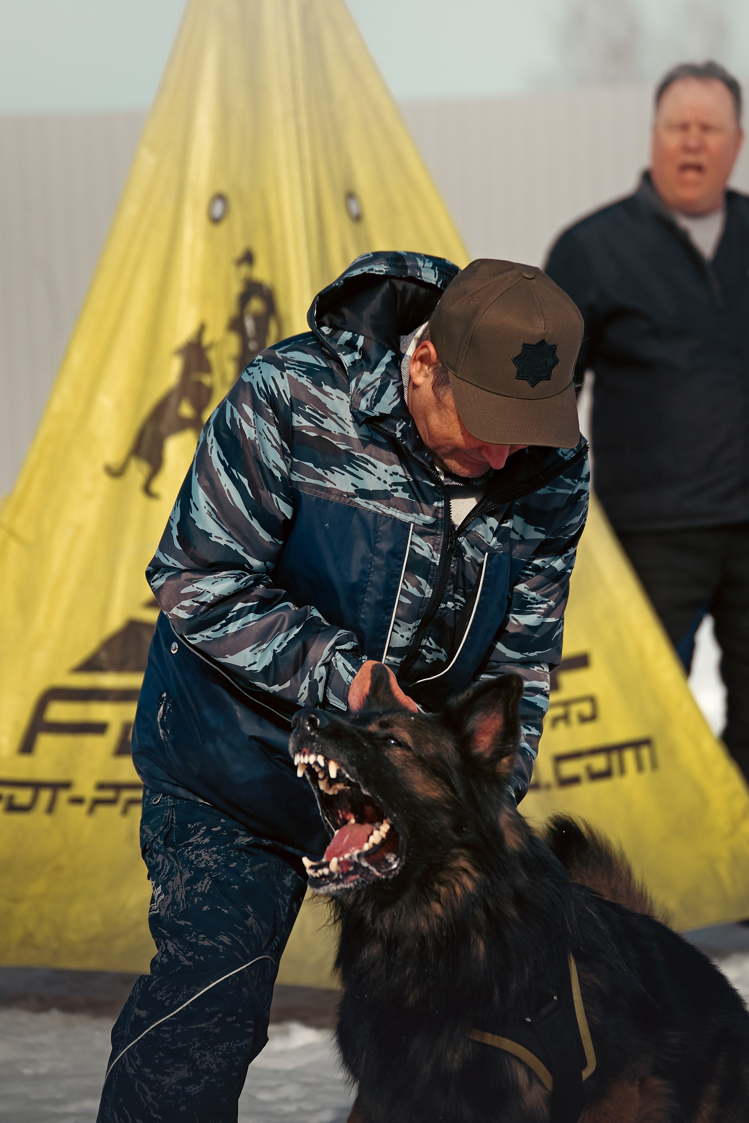 Репортажная съемка. Фотограф-анималист Нижний Новгород