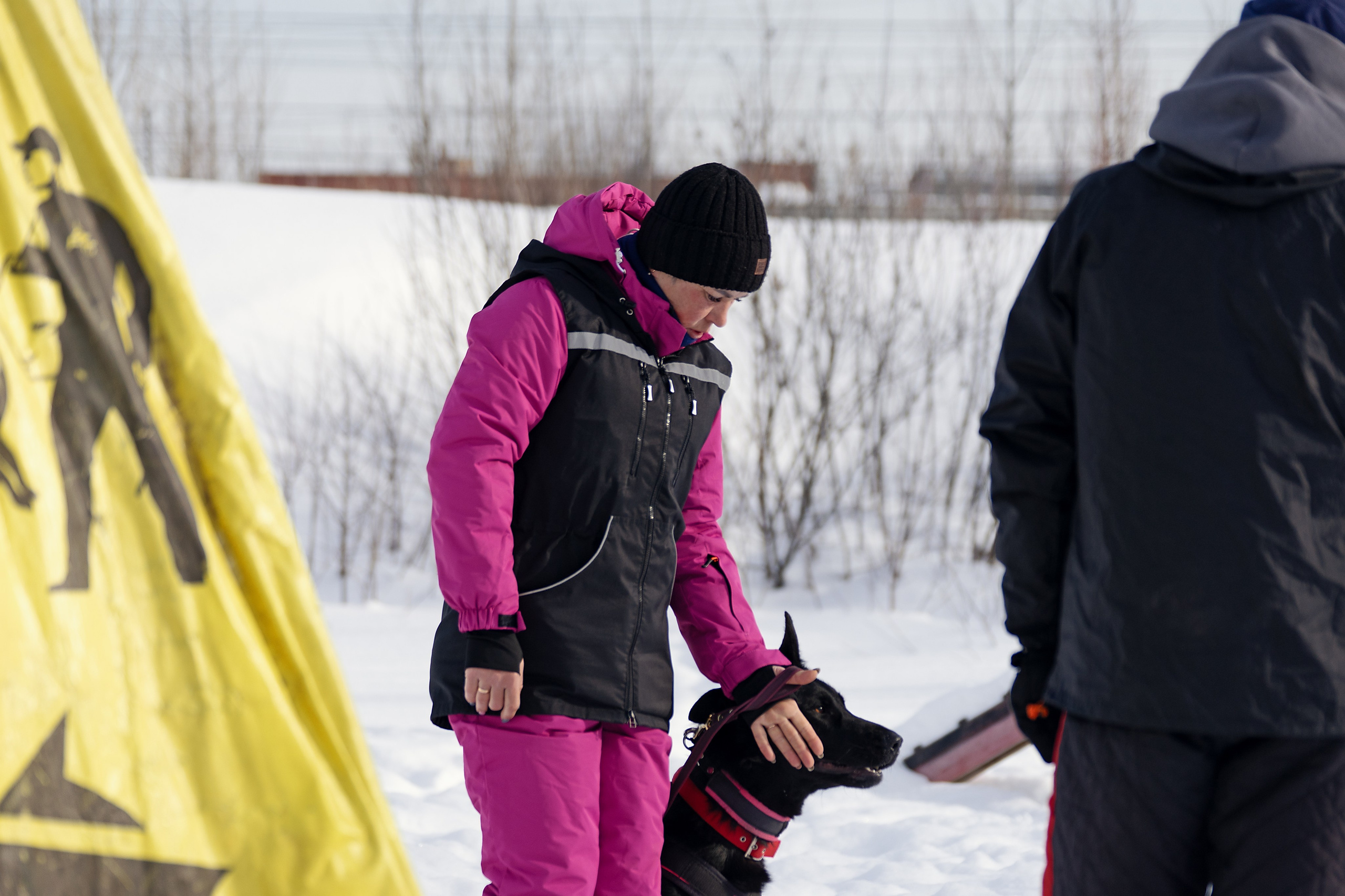 Репортажная съемка. Фотограф-анималист Нижний Новгород