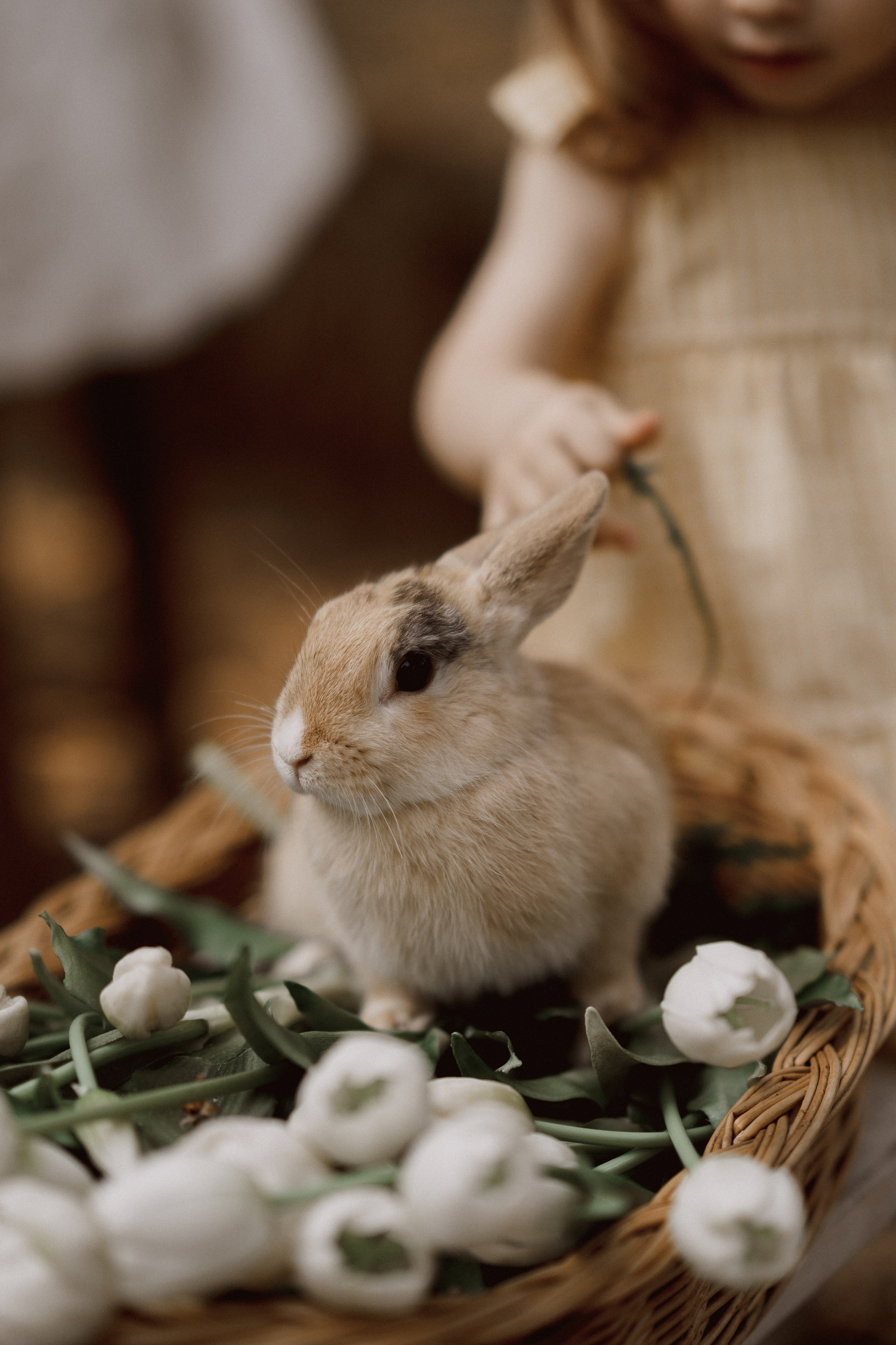 Мира с мамой Анной. Семейный и детский фотограф в Сергиев Посаде, Хотьково Якимчук Любовь