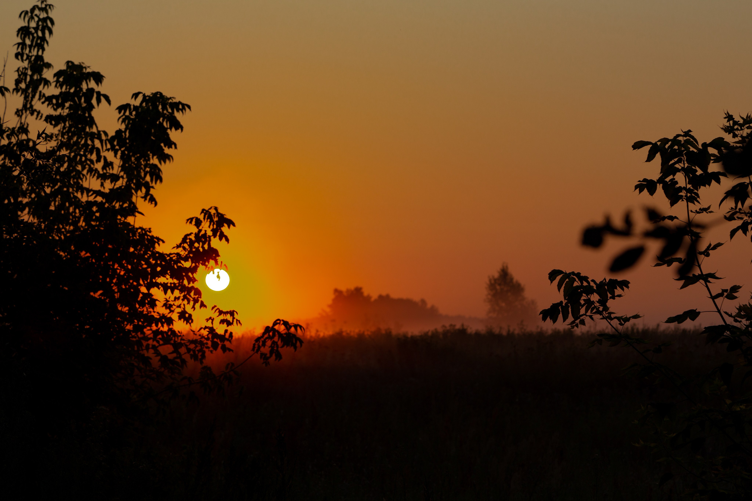 Пейзаж. OneSnap