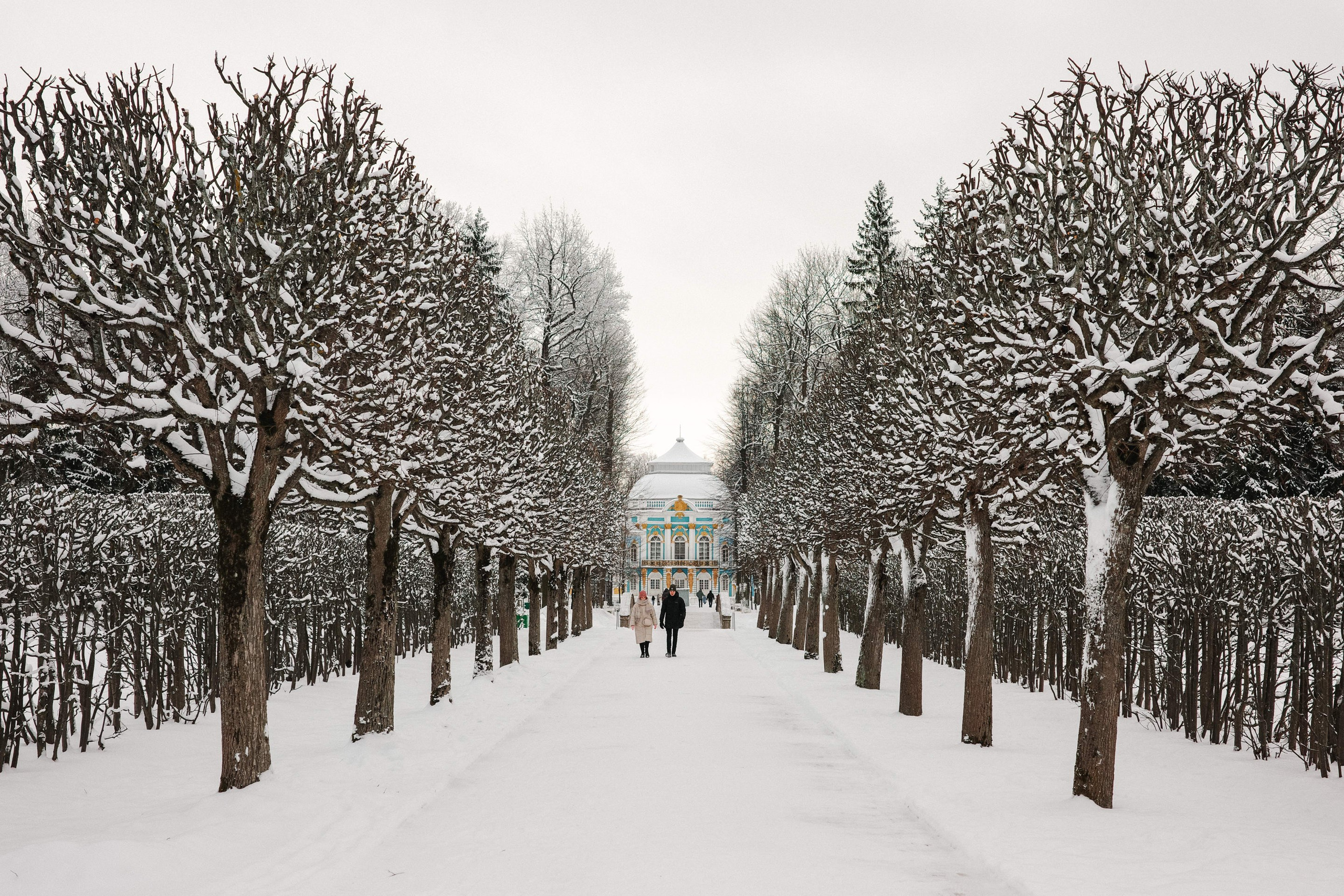 2025.02. Фотограф Алексей Алексеев
