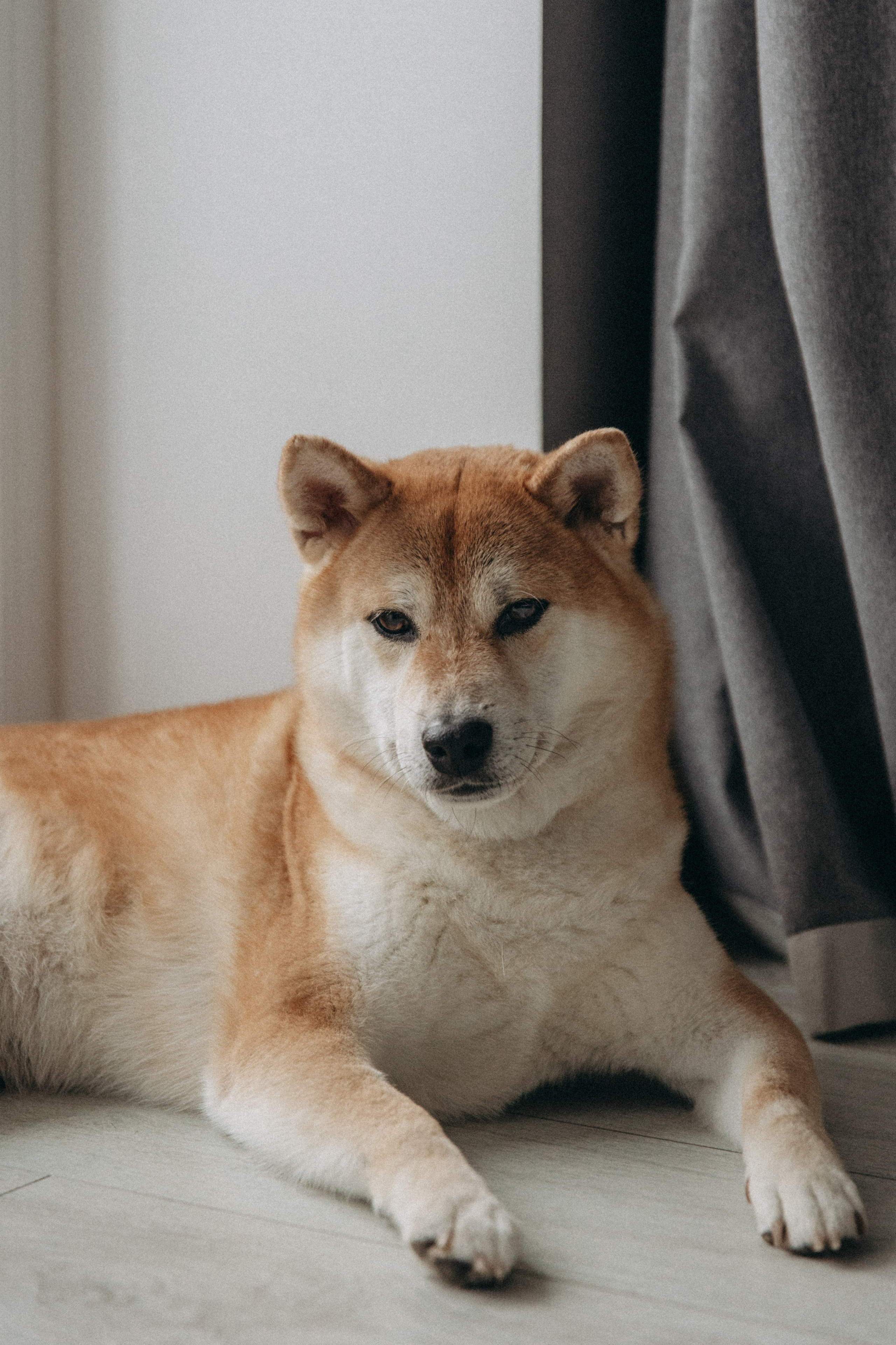 Виктория, Алексей и Андрюша. Семейный фотограф Земскова Евгения