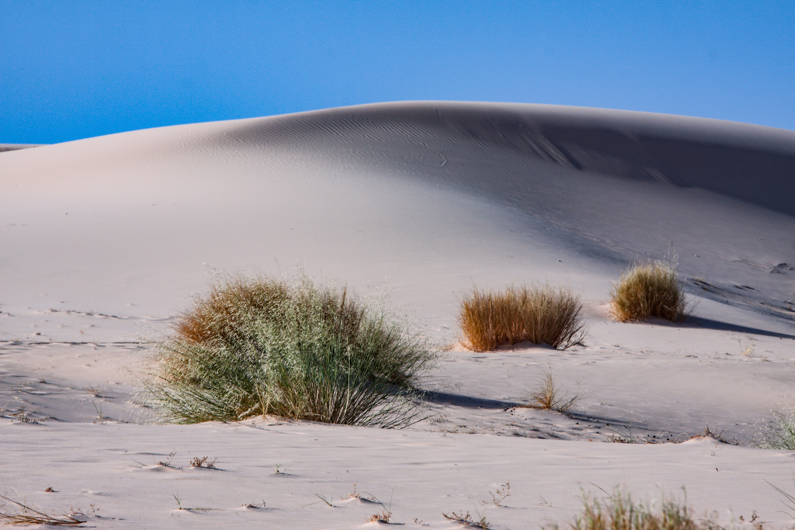 Дария Галямова — фотограф: открытый, творческий, коммерческий