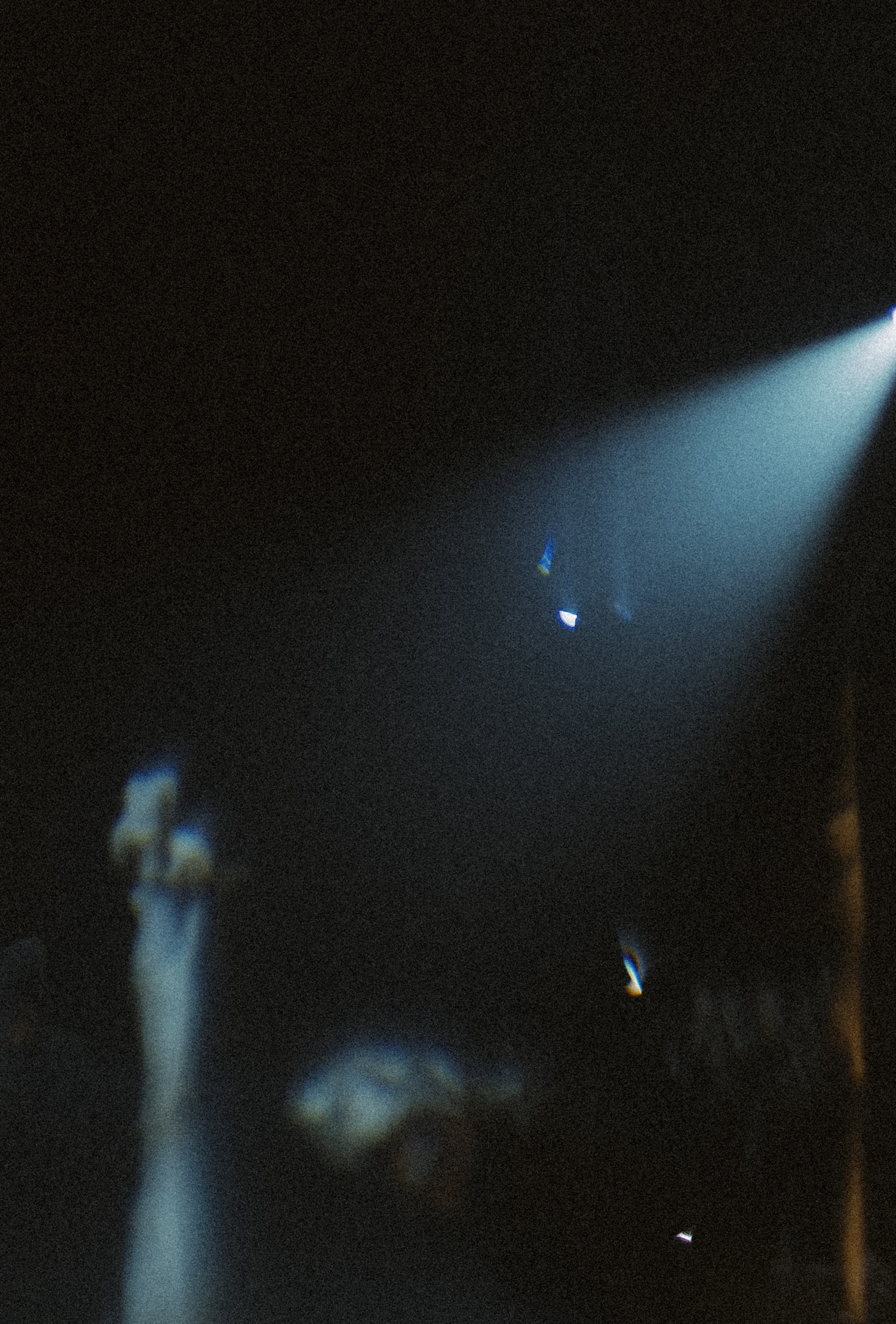 Rara Avis Fashion Show 2026. Fusion Wedding Photographer