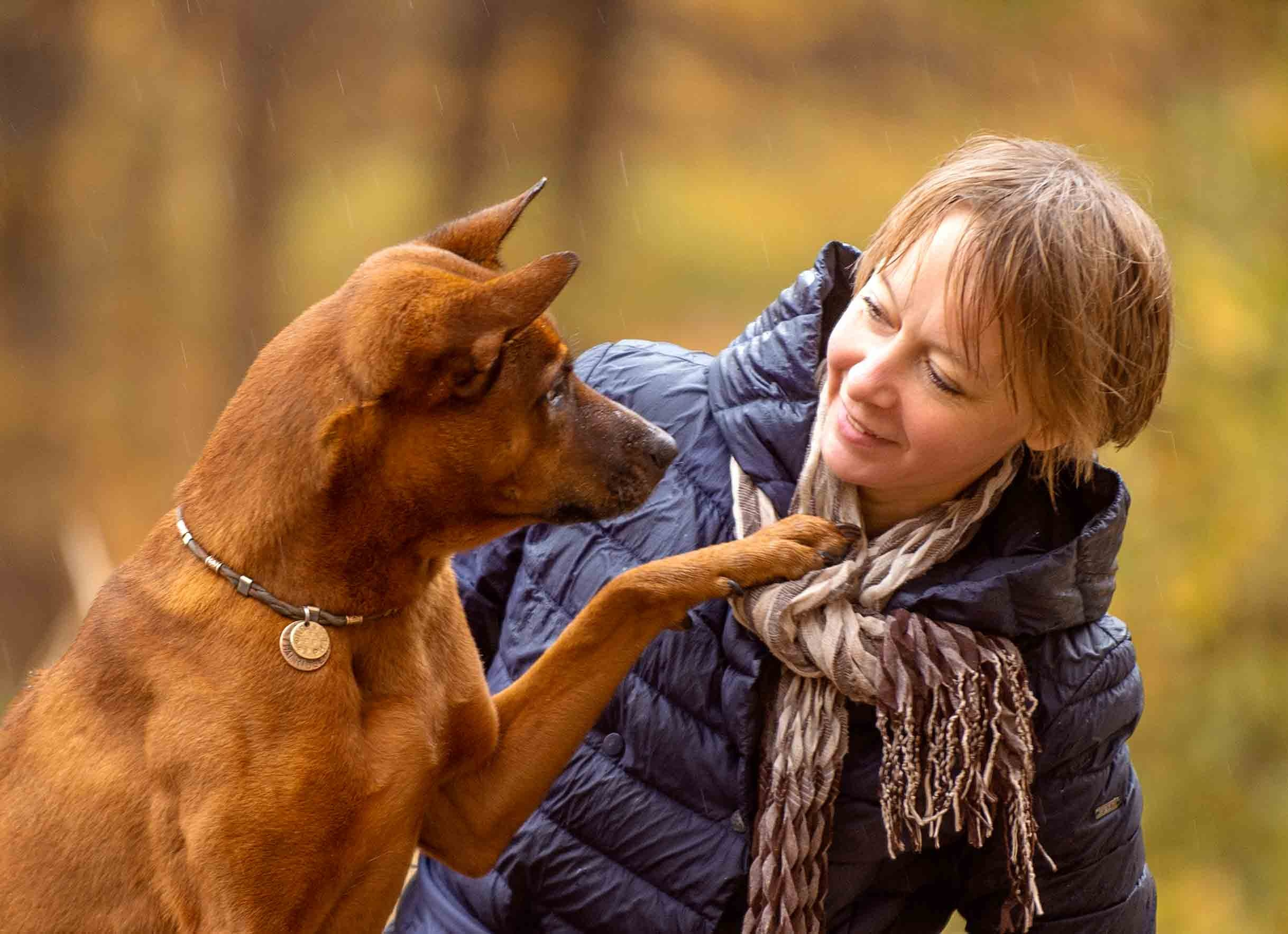 Фото с домашними питомцами. Портретная и свадебная фотосъемка. Москва и область