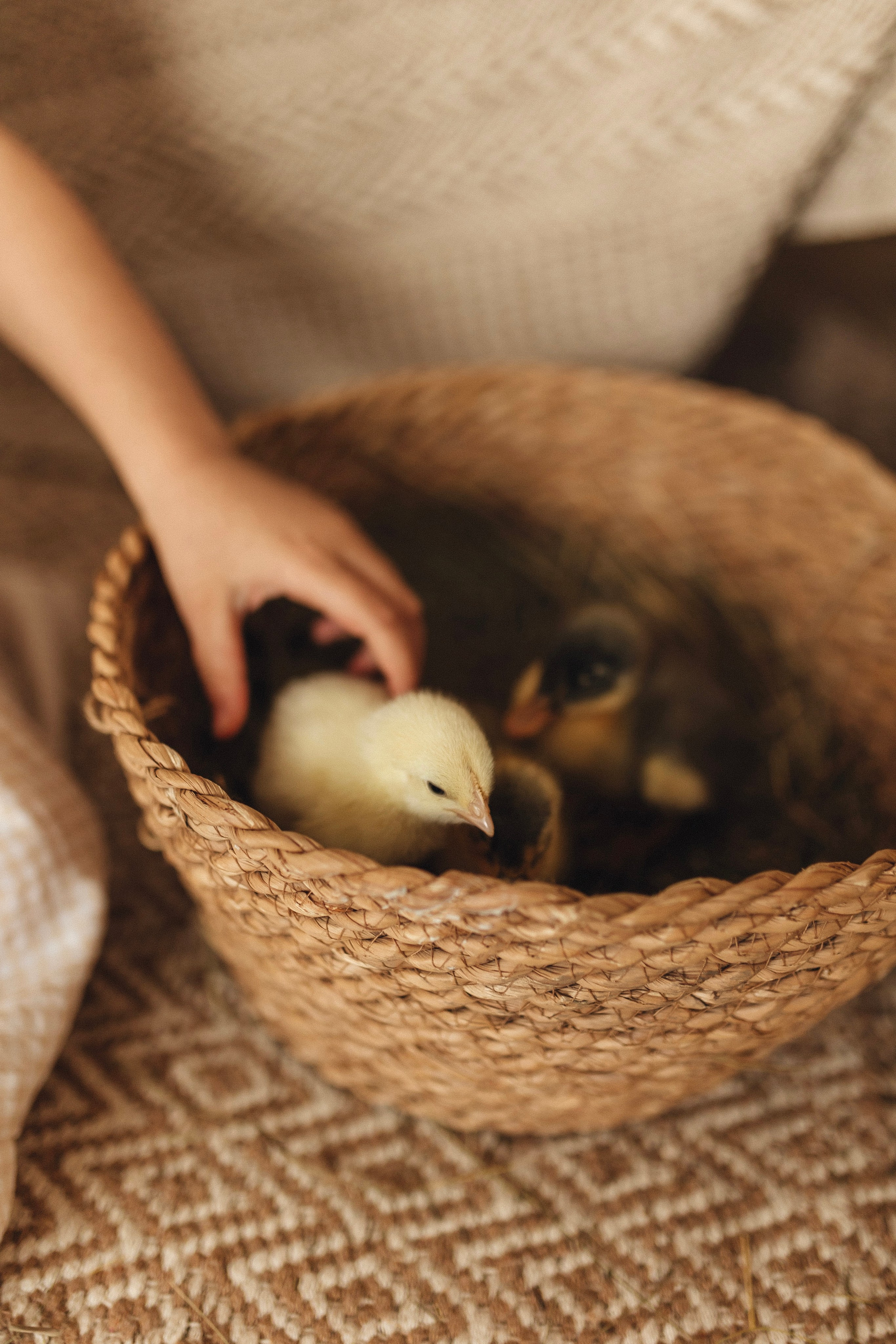 Портфолио//FAMILY. Фотограф Тюмень Пушковская Кристина