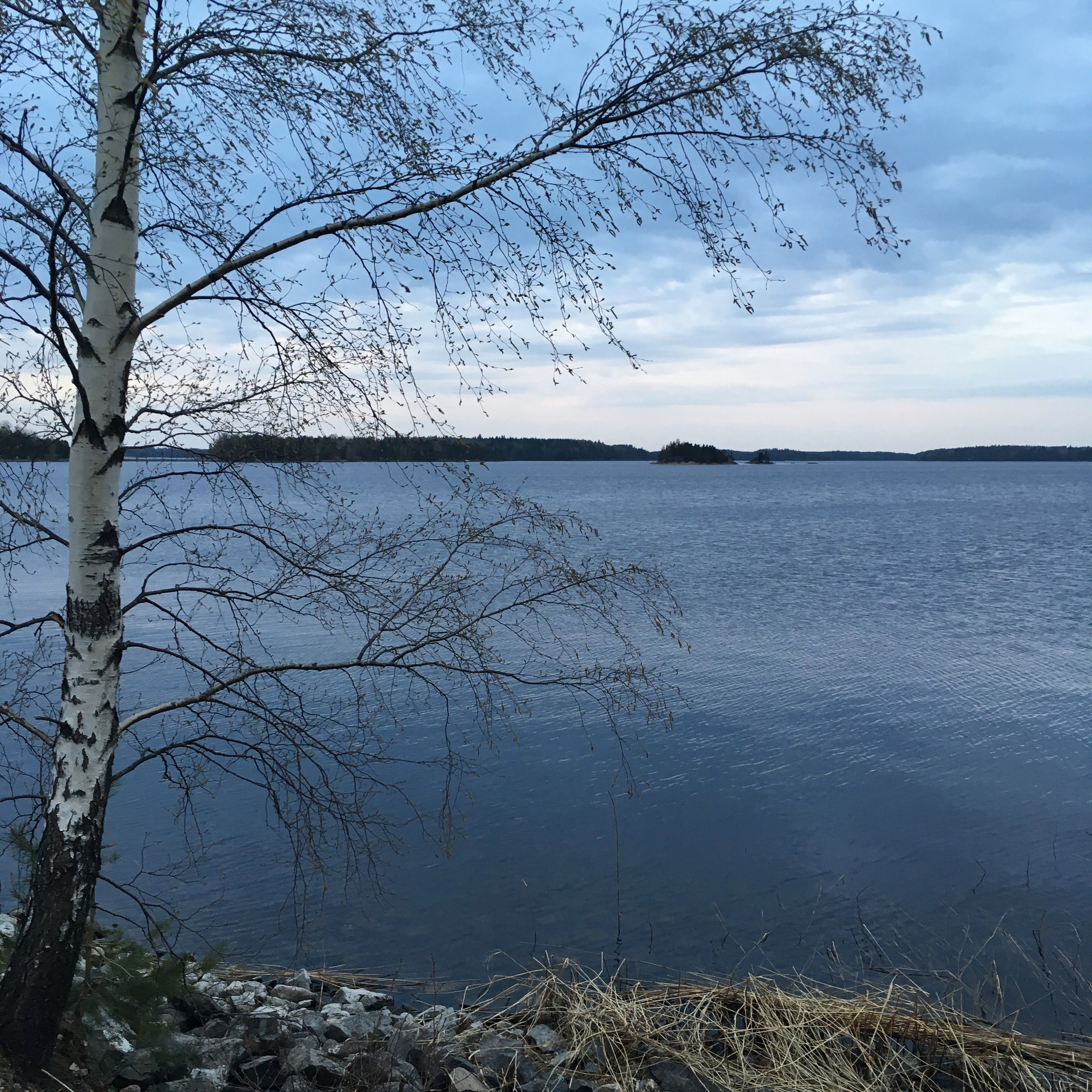 Финляндия — 19. Своя Мастерская