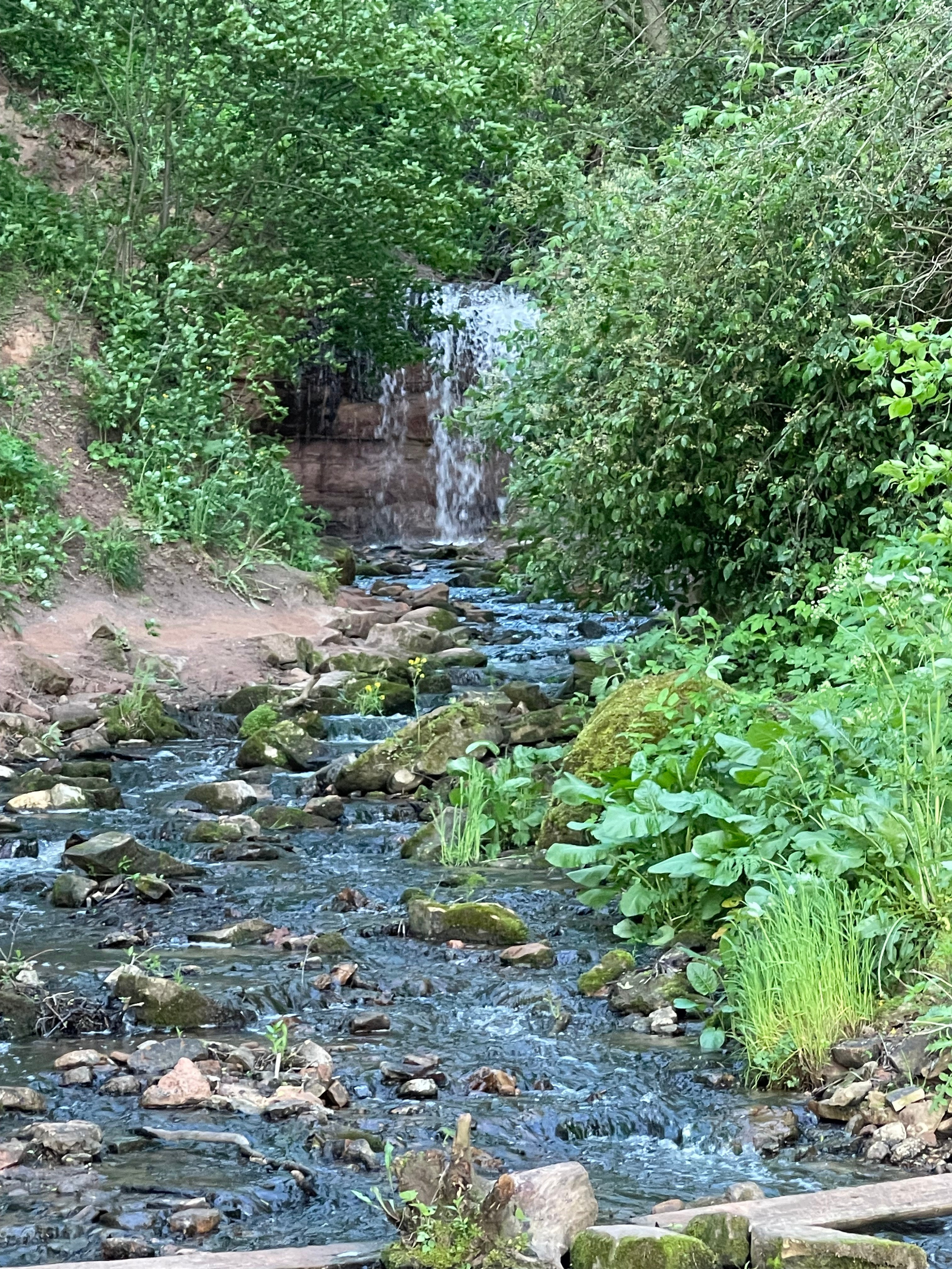 Ладога. Главная