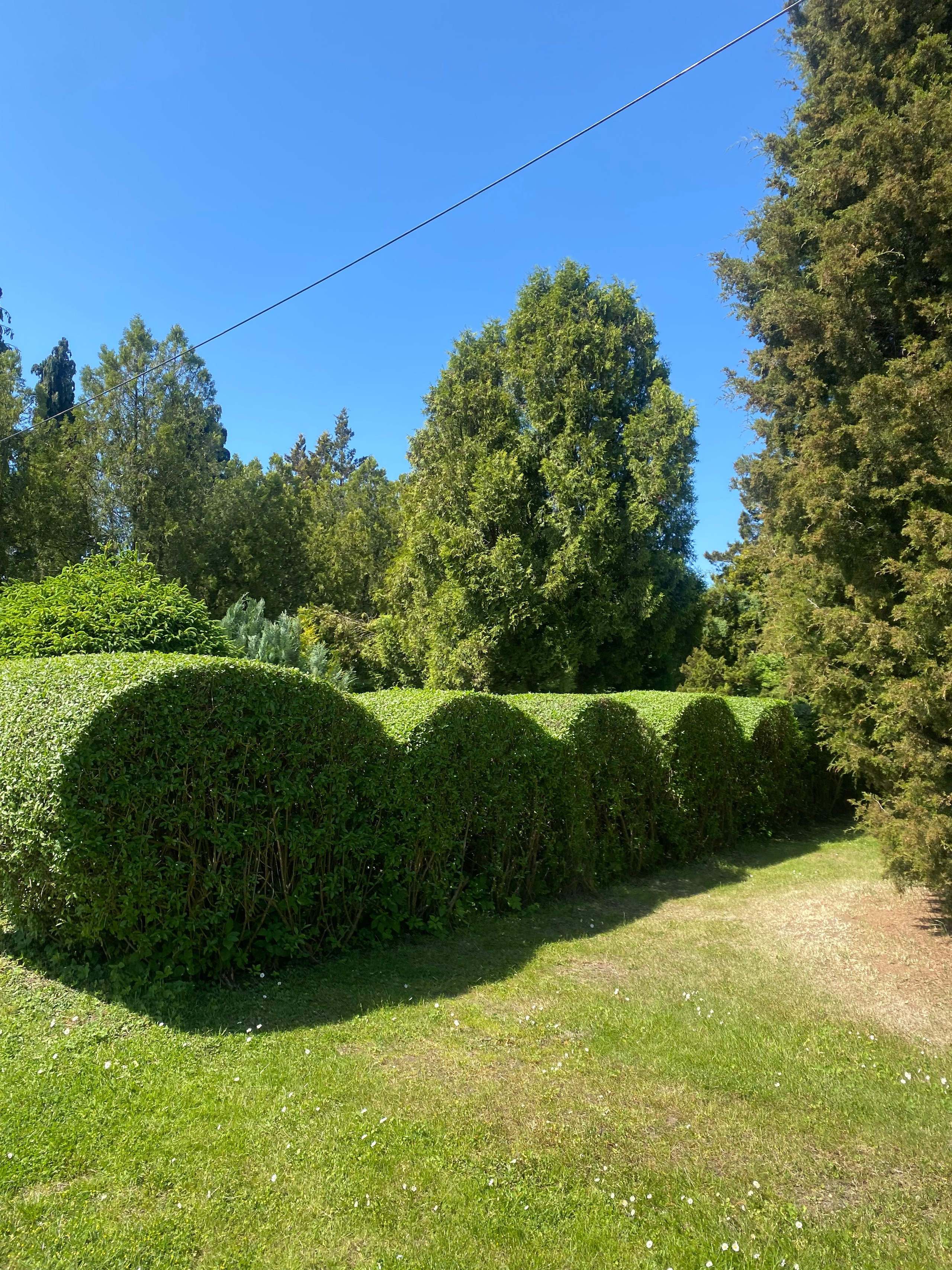 Валбджих. Своя Мастерская