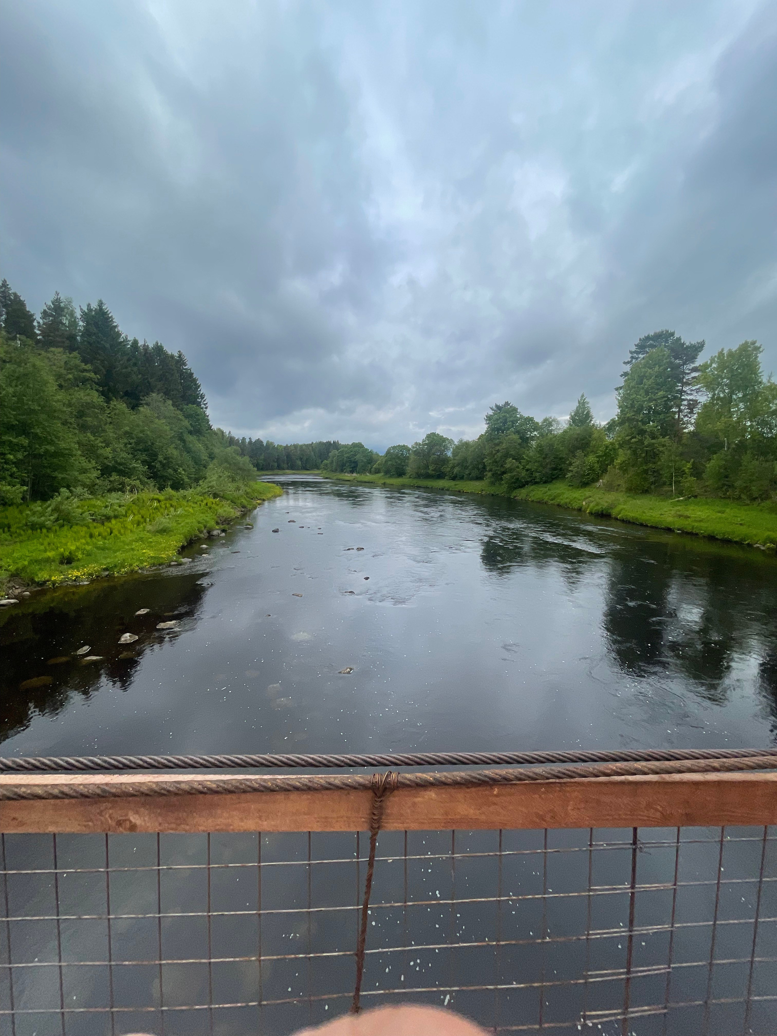 Ладога Трофи. Своя Мастерская
