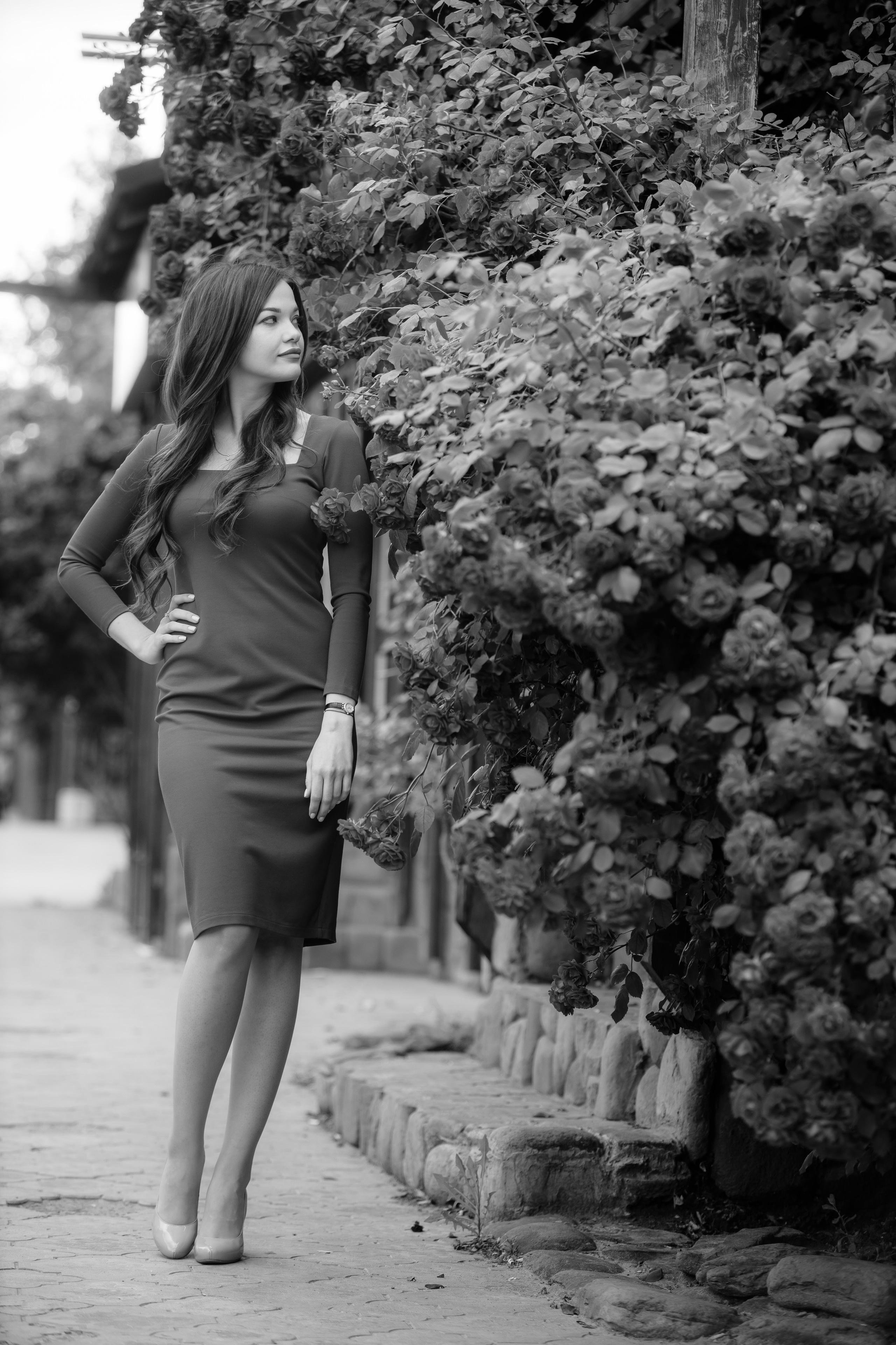 Черное и белое. Профессиональный фотограф и видеооператор