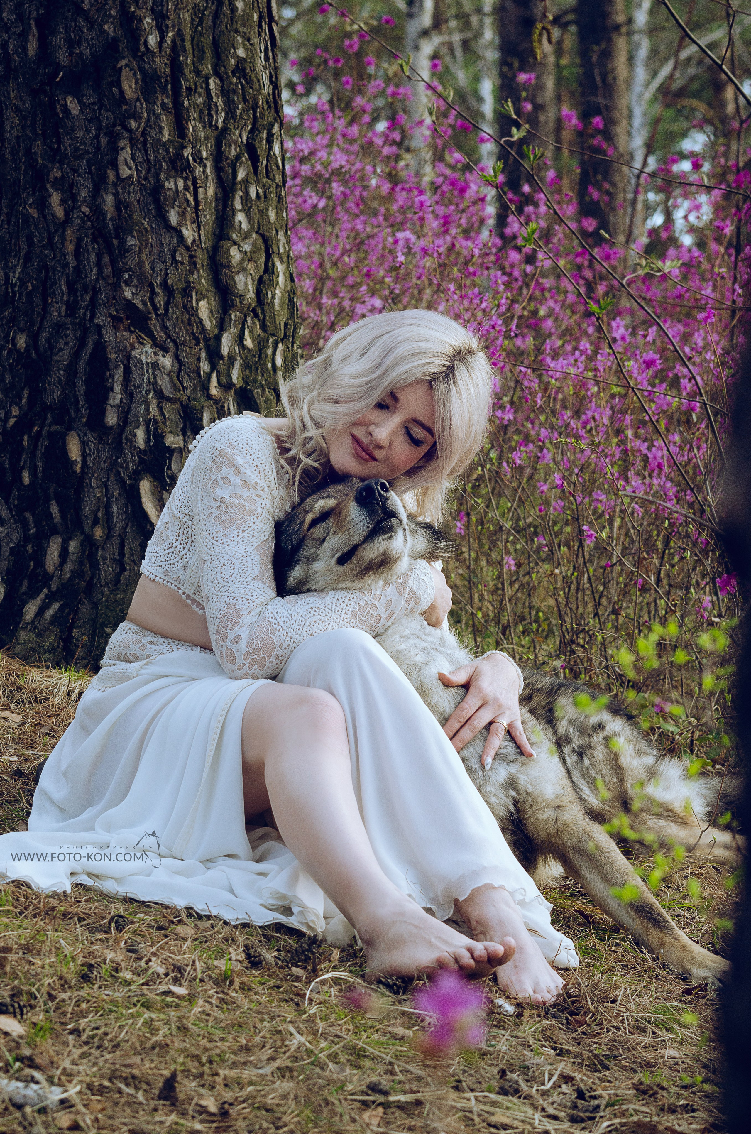 Съемка с собаками, животными. Сайт фотографа Елены Коноваловой Иркутск