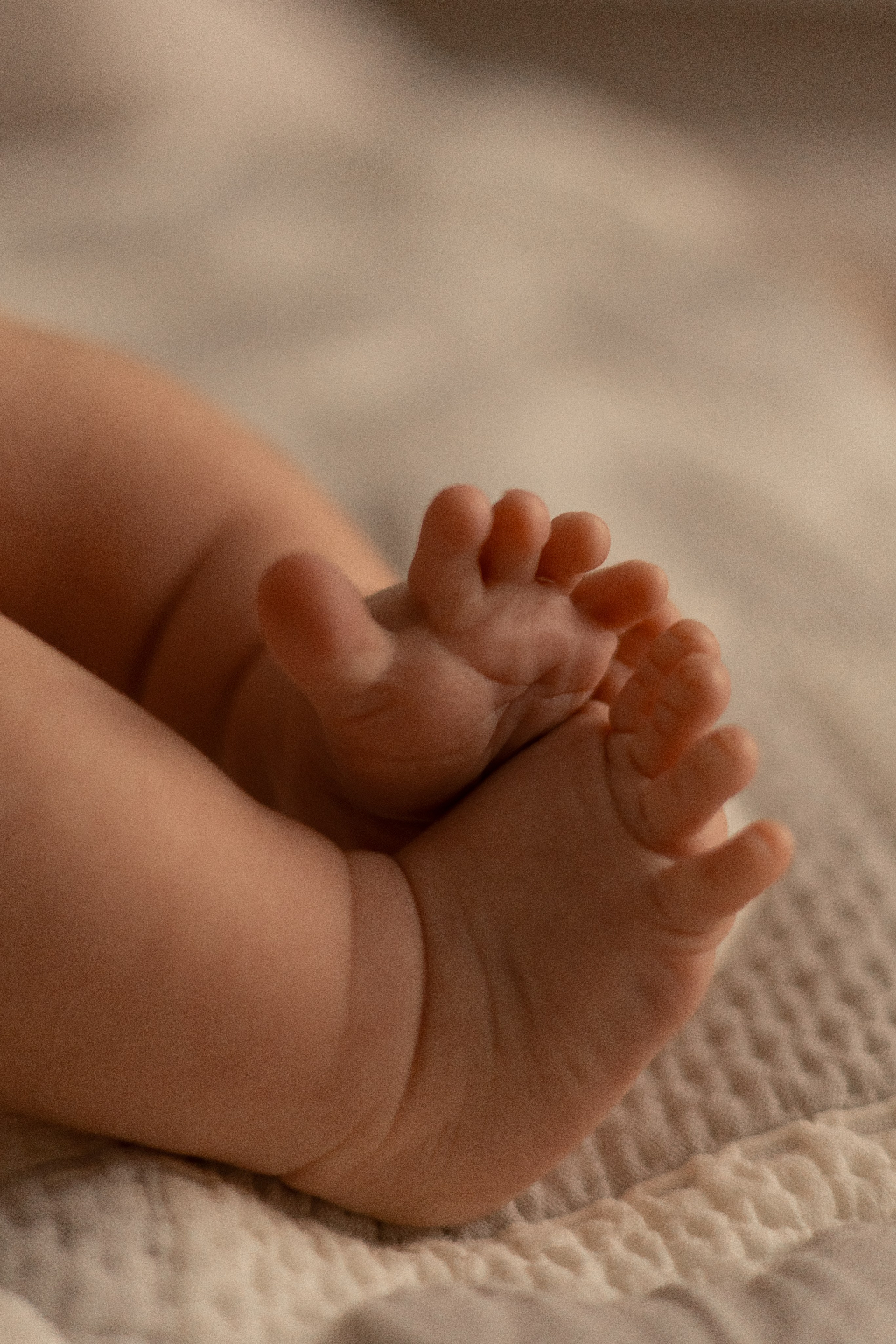 +1. Свадебный и семейный фотограф Арина Кулёва