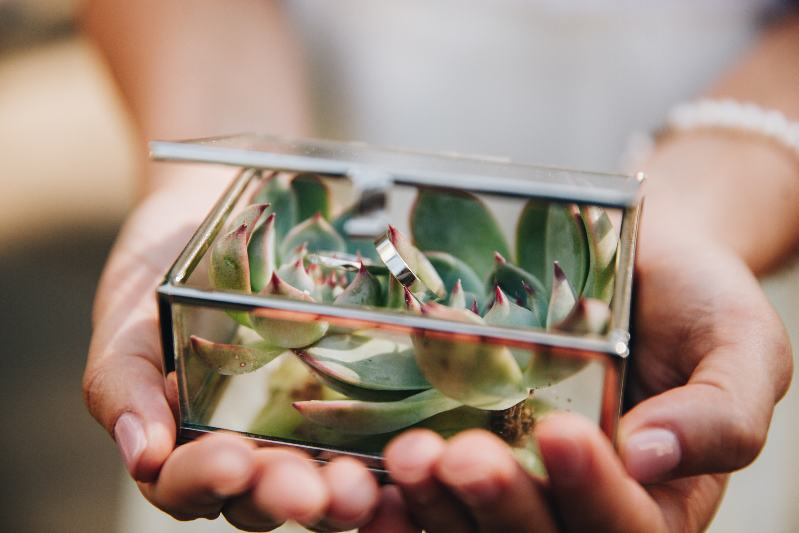 Роман + Карина. Фотограф Луиза Юдилевич Москва