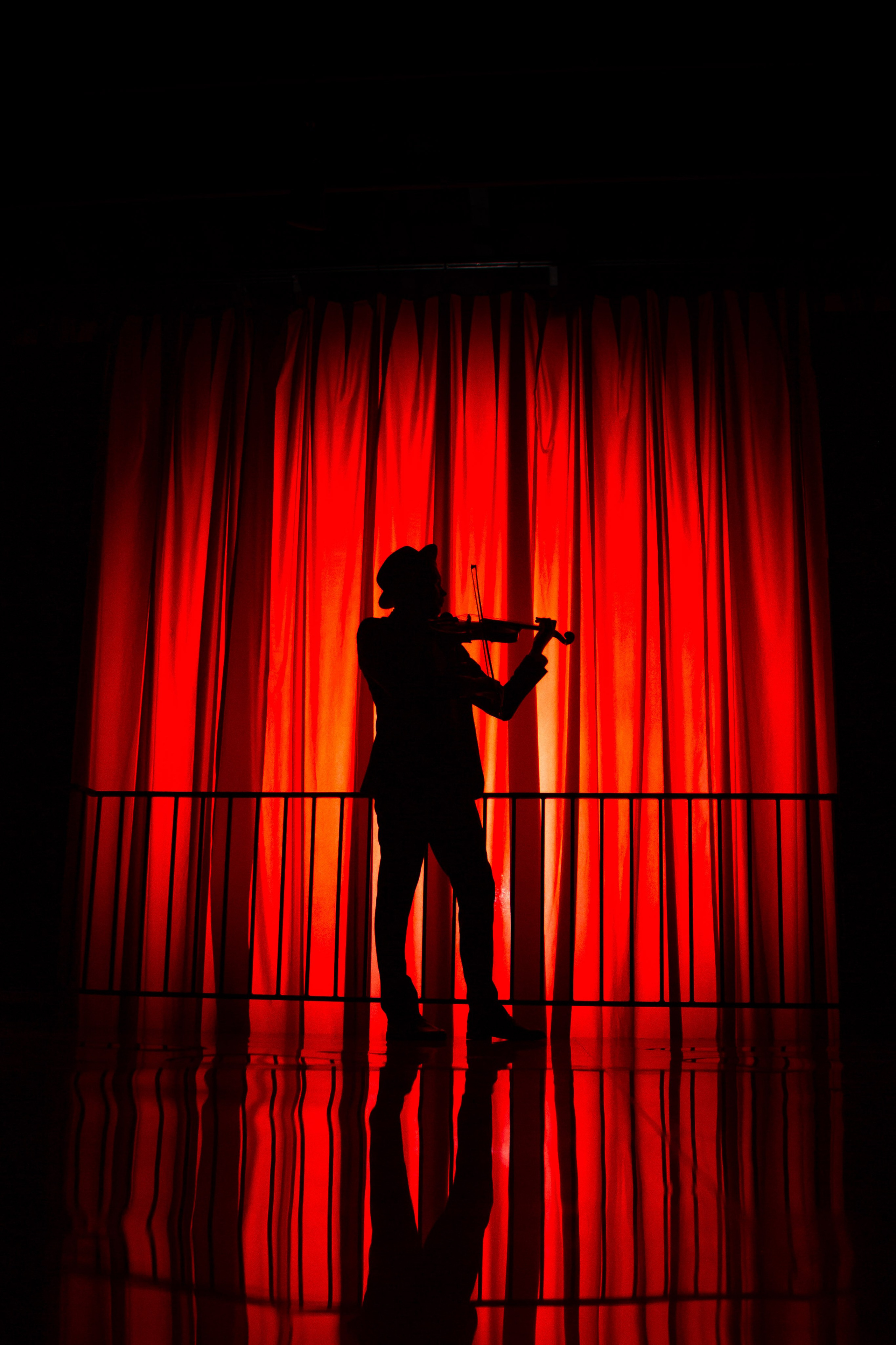 Цирковое шоу. Видеограф Добромыслов